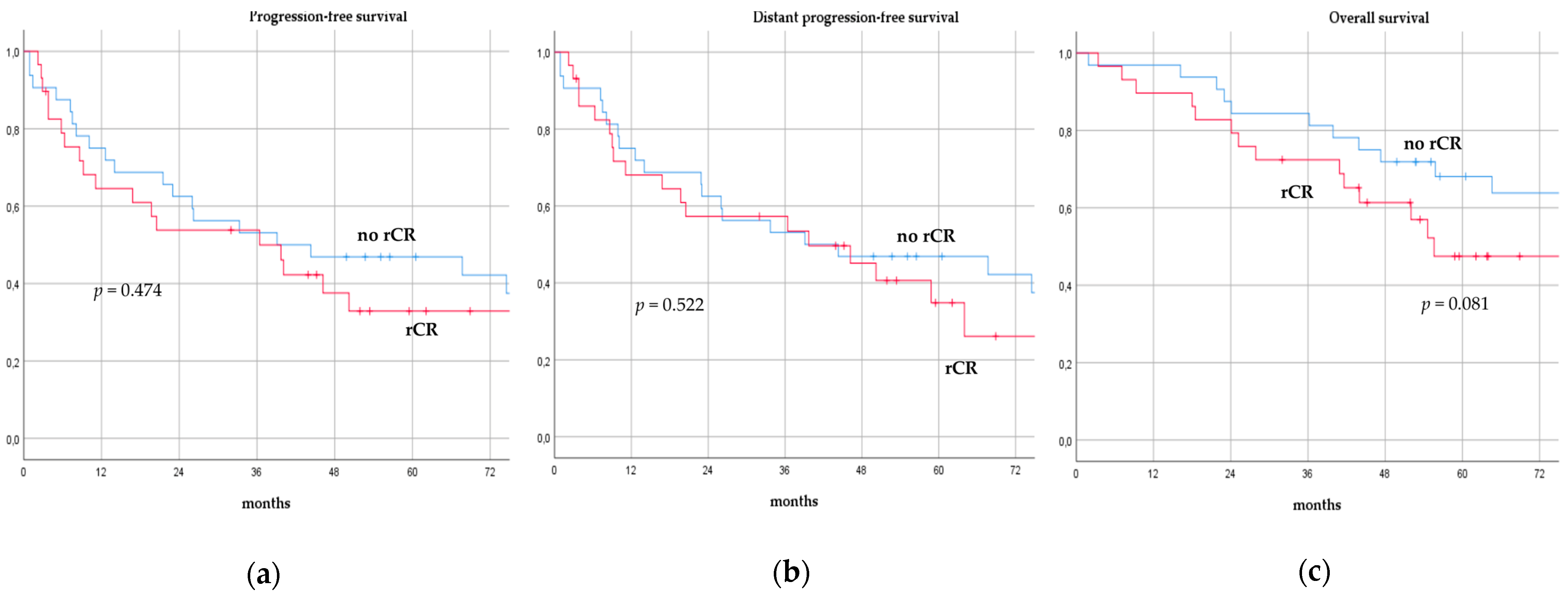 Cancers 14 06237 g004