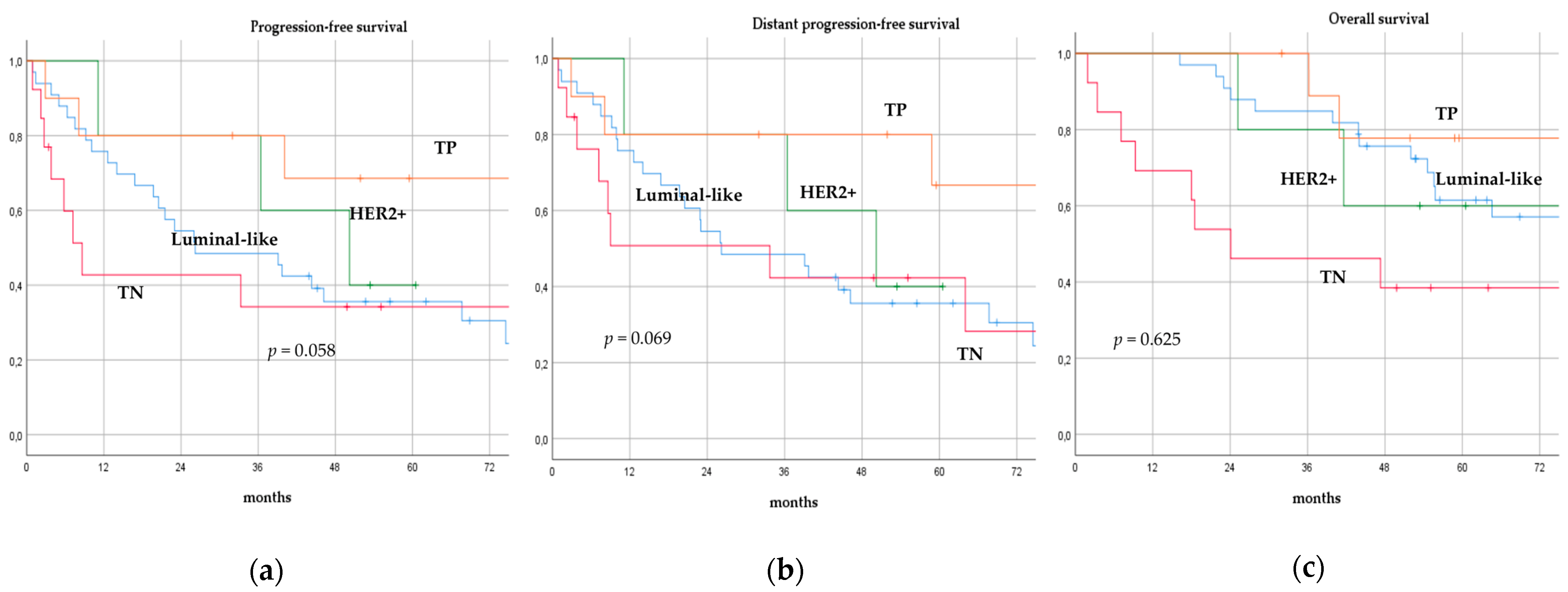 Cancers 14 06237 g005
