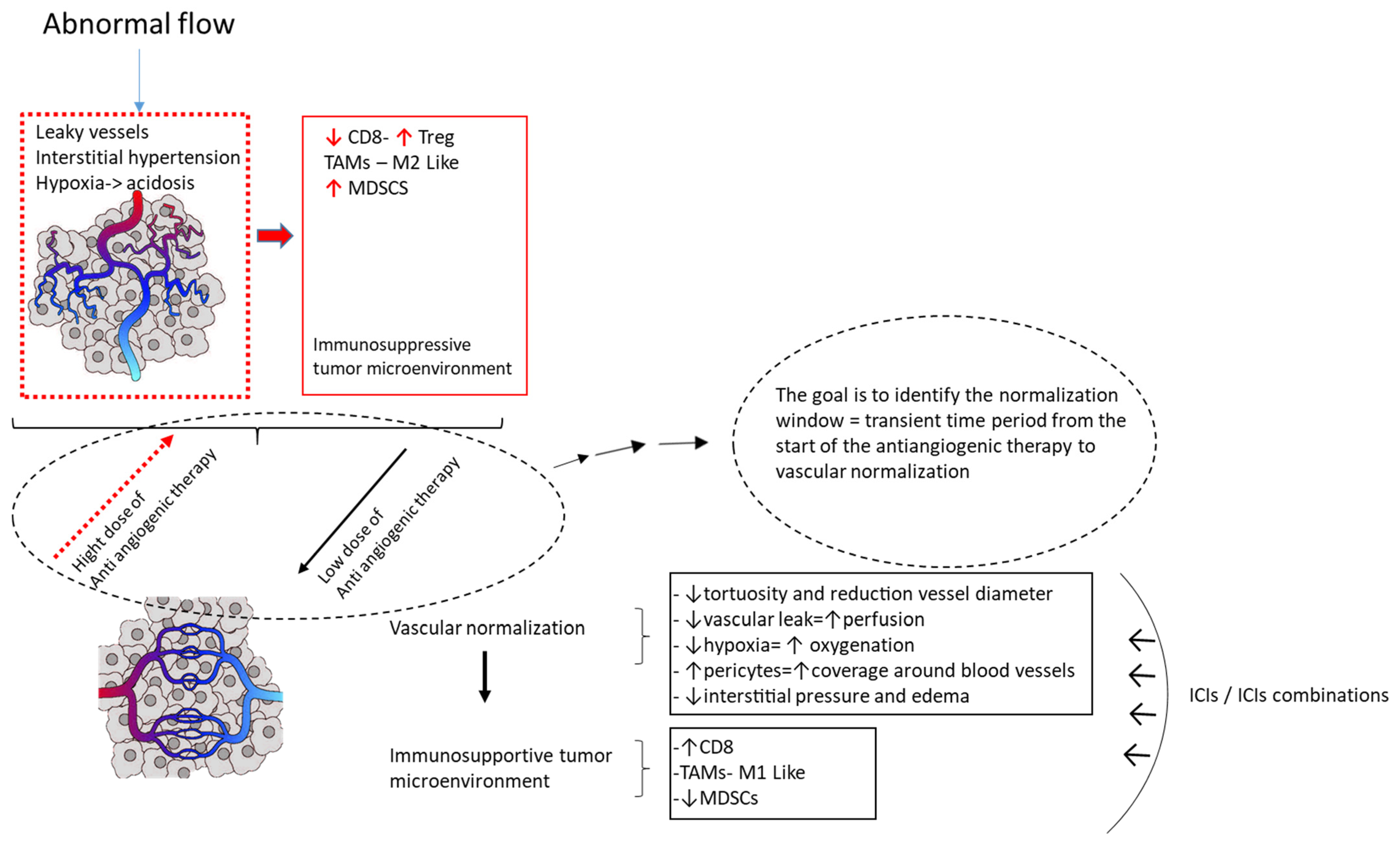 Cancers 14 06245 g002