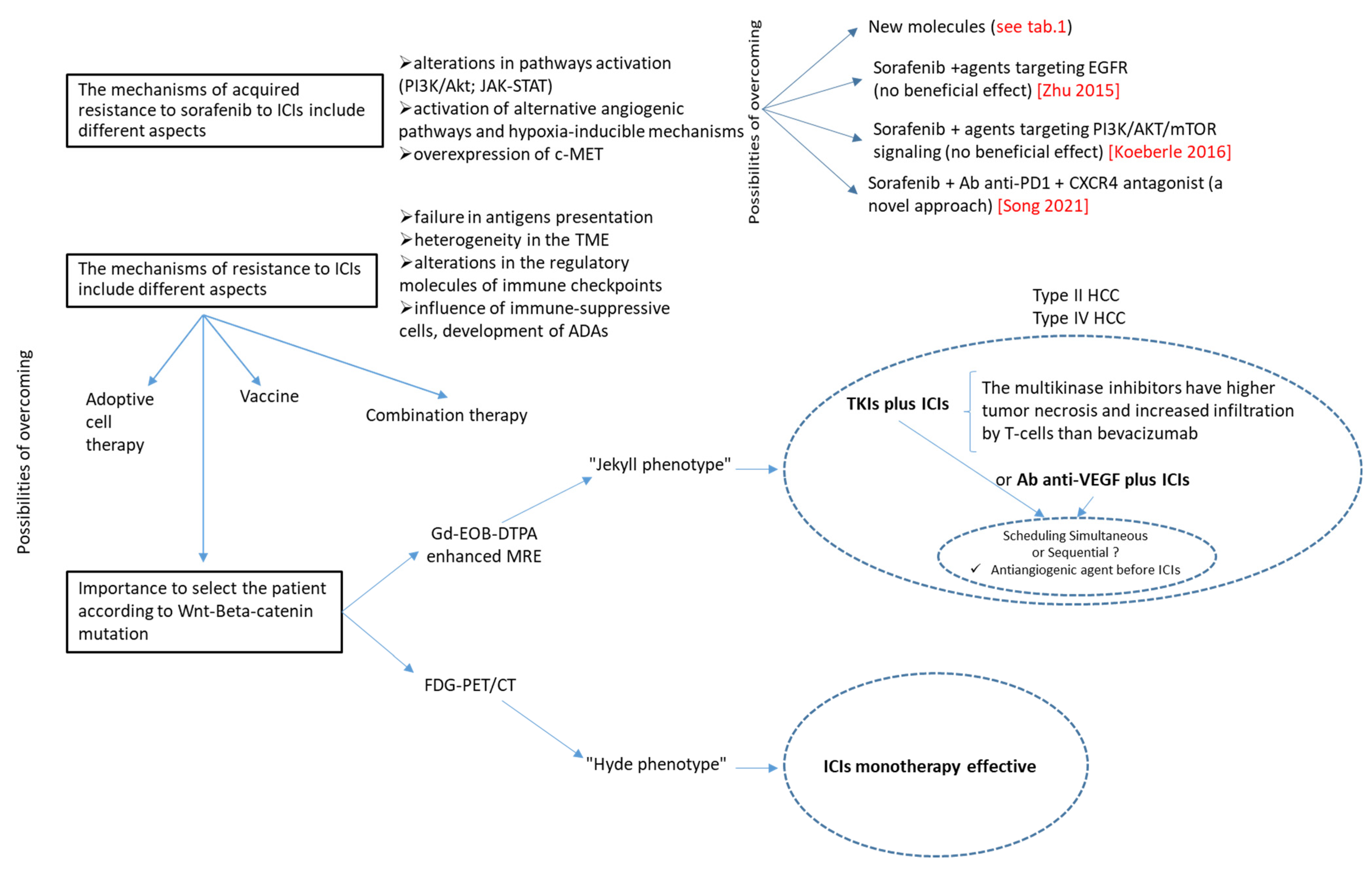 Cancers 14 06245 g004
