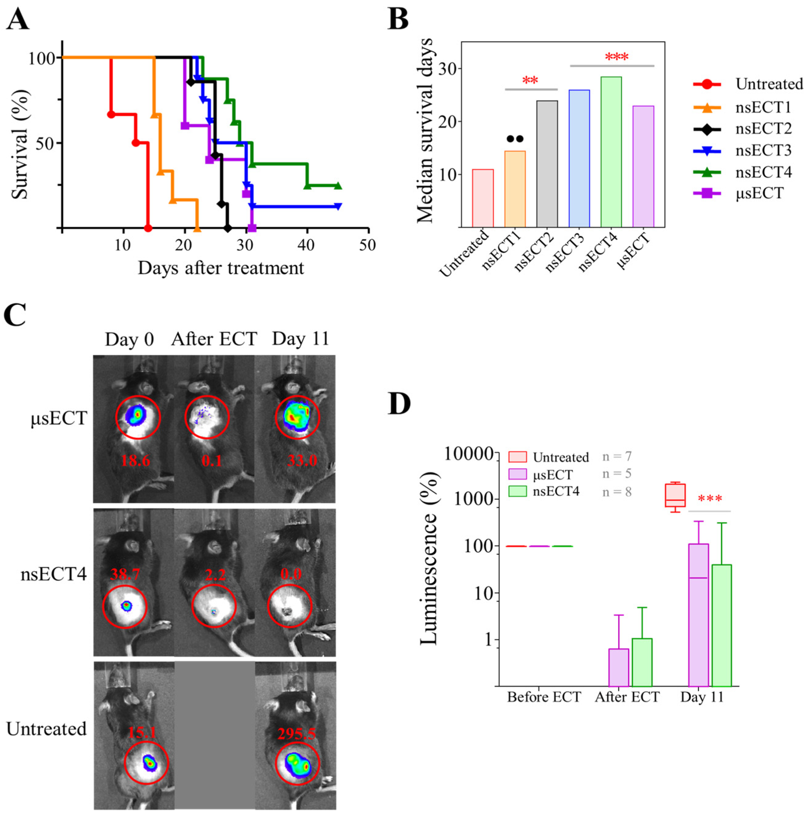 Cancers 14 06254 g002