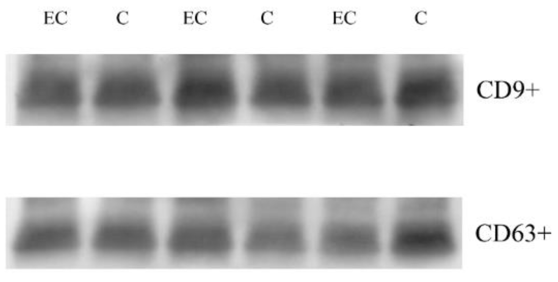 Cancers 14 06262 g001