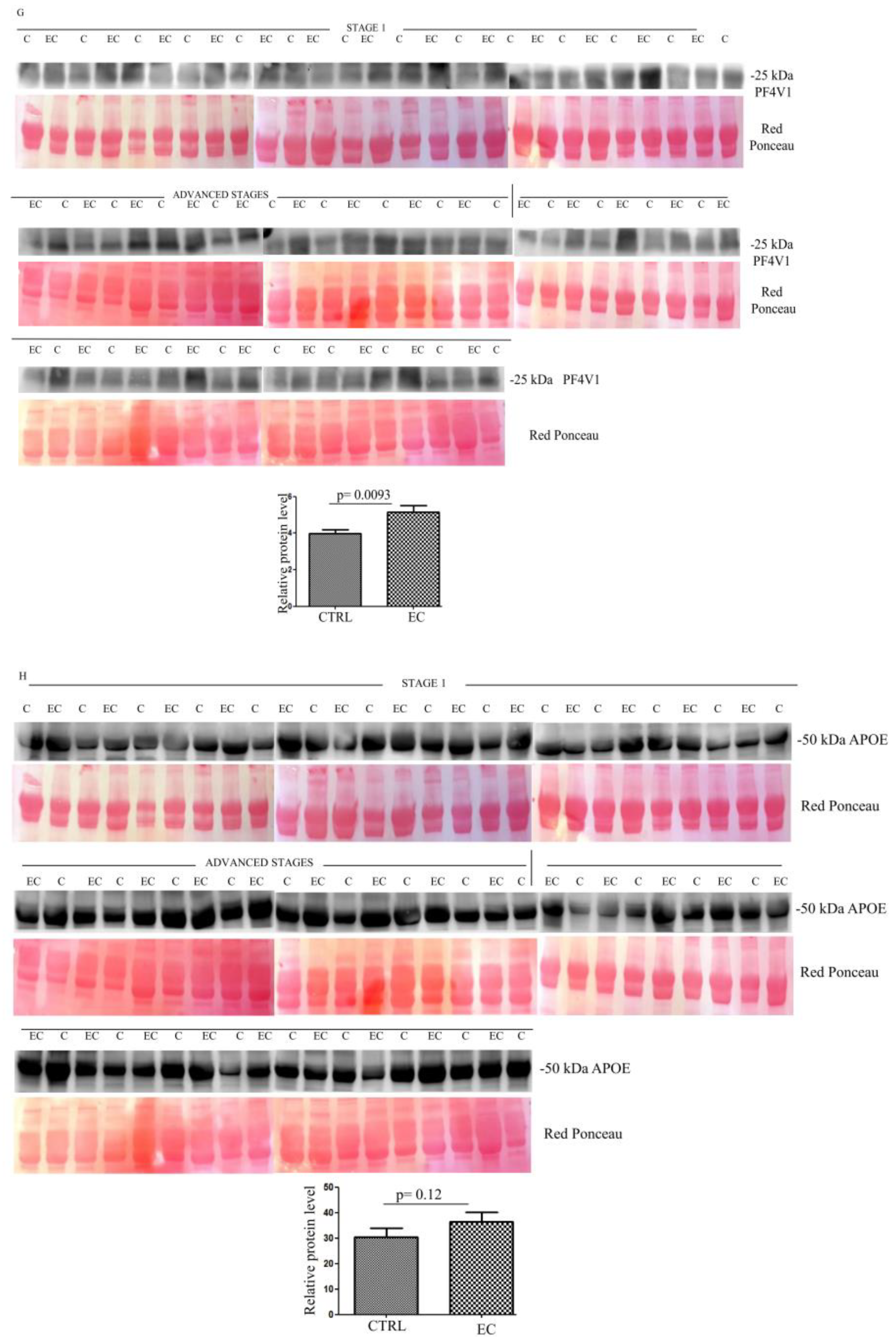 Cancers 14 06262 g002d