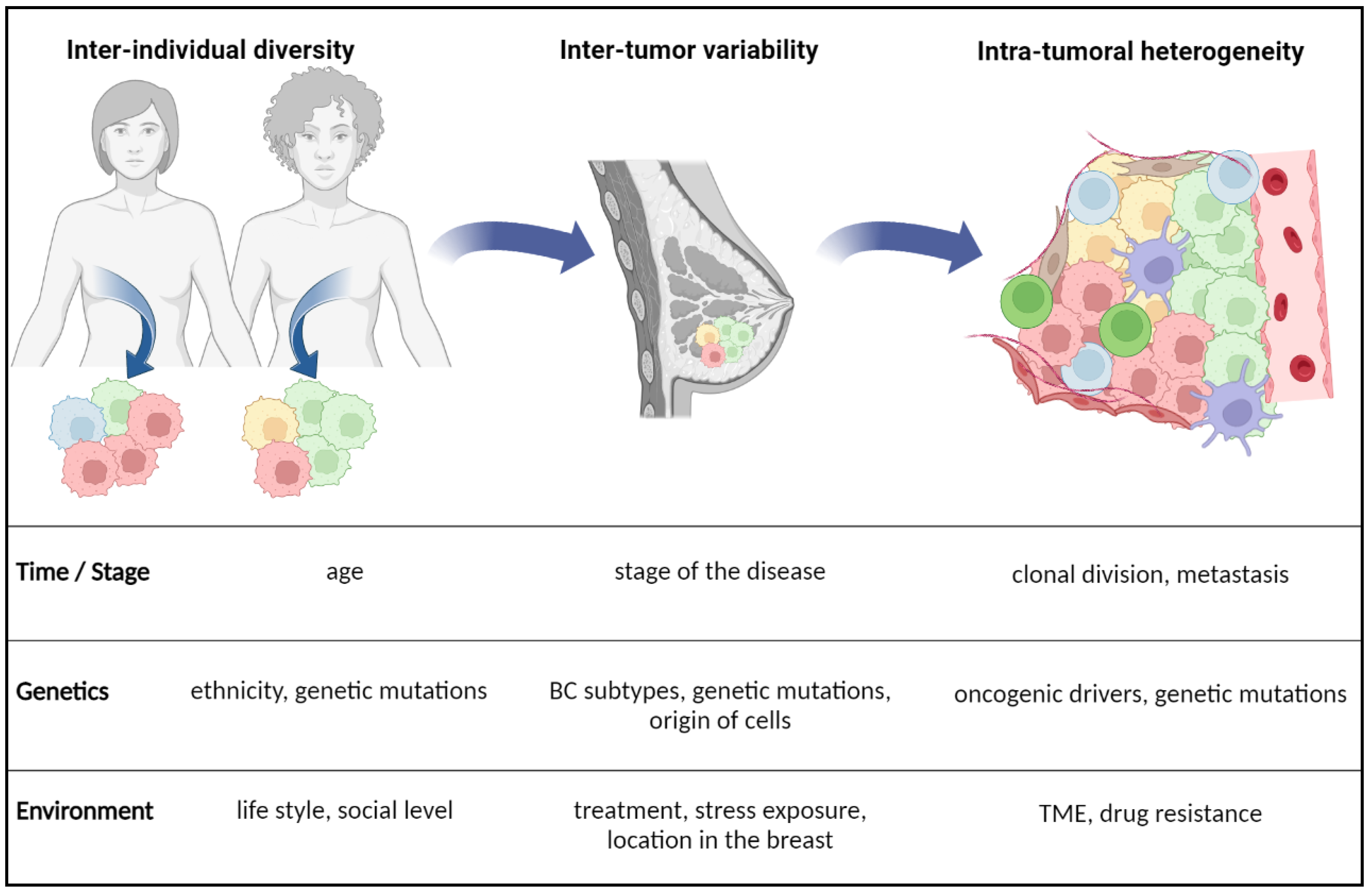 Cancers 14 06267 g001