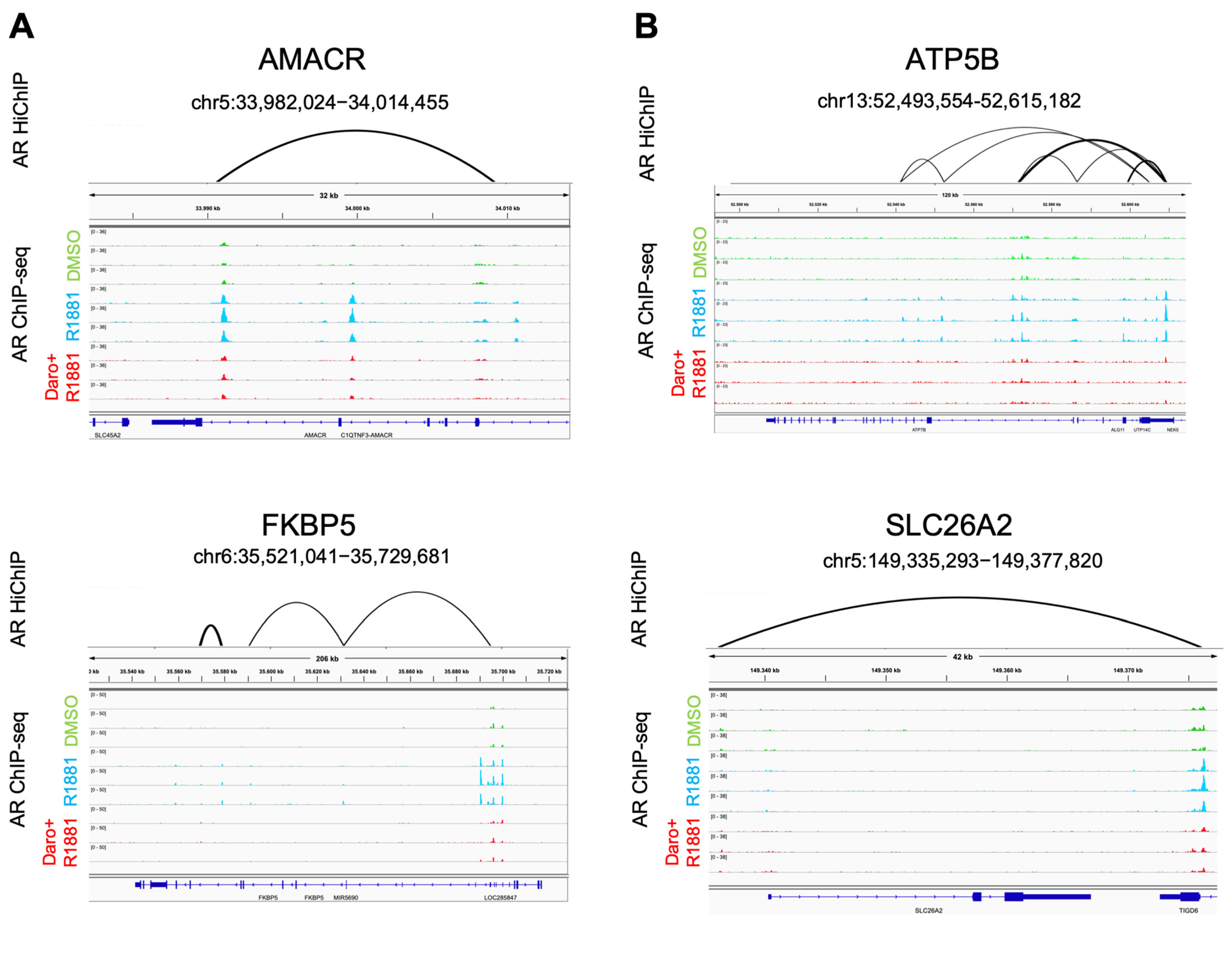 Cancers 15 00002 g006a
