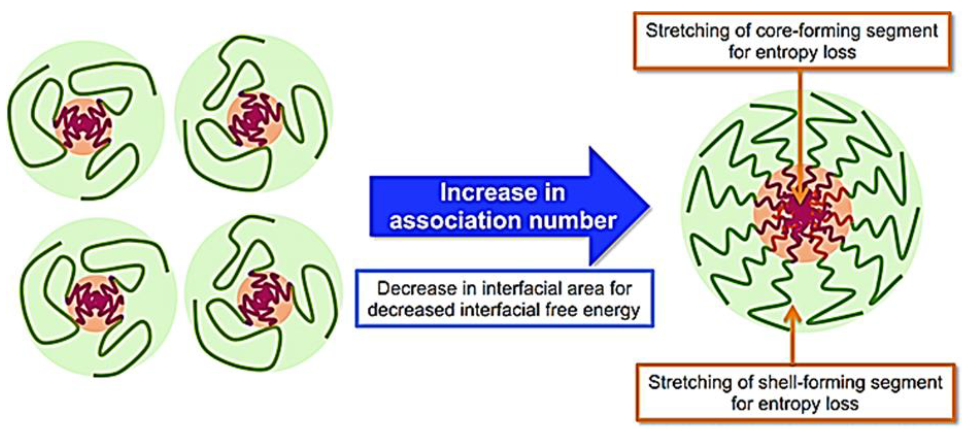 Cancers 15 00004 g004 Cancers 15 00004 g004