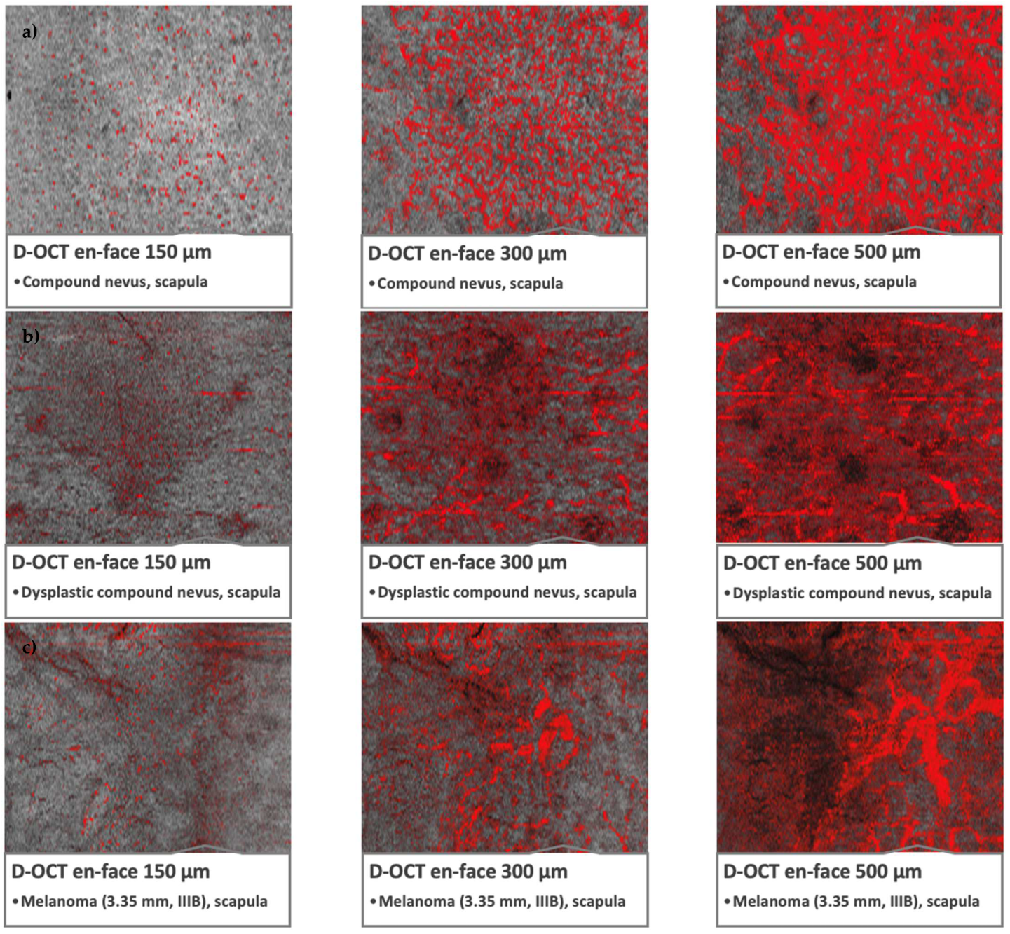 Cancers 15 00020 g002