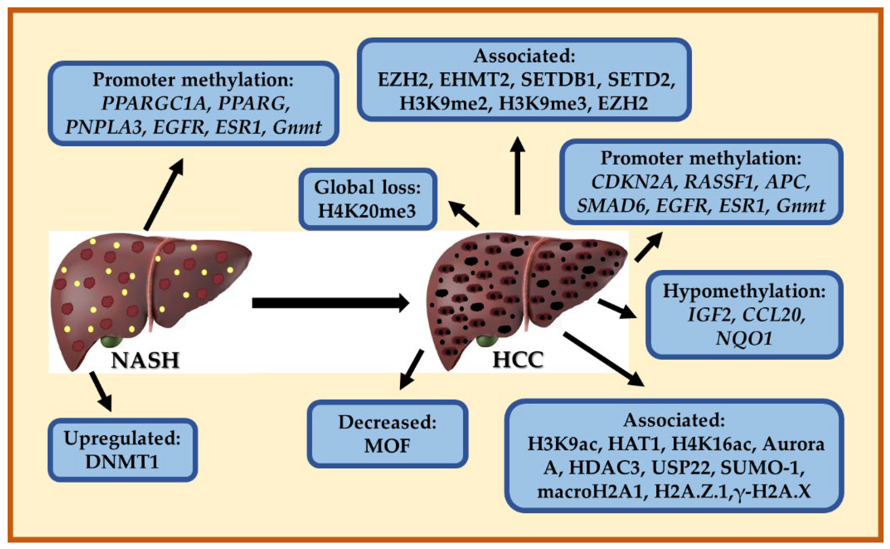 Cancers 15 00023 g004