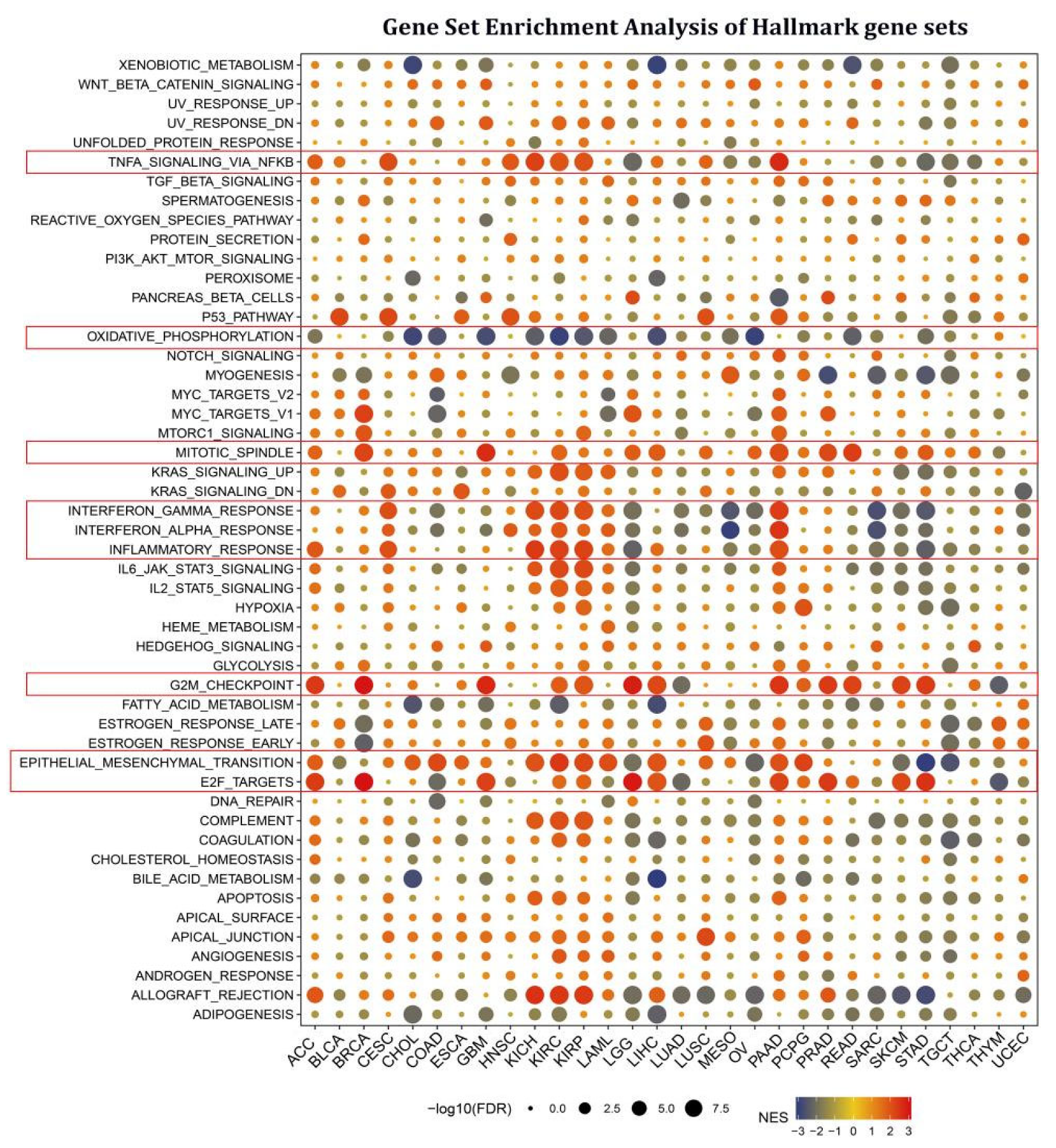 Cancers 15 00027 g003