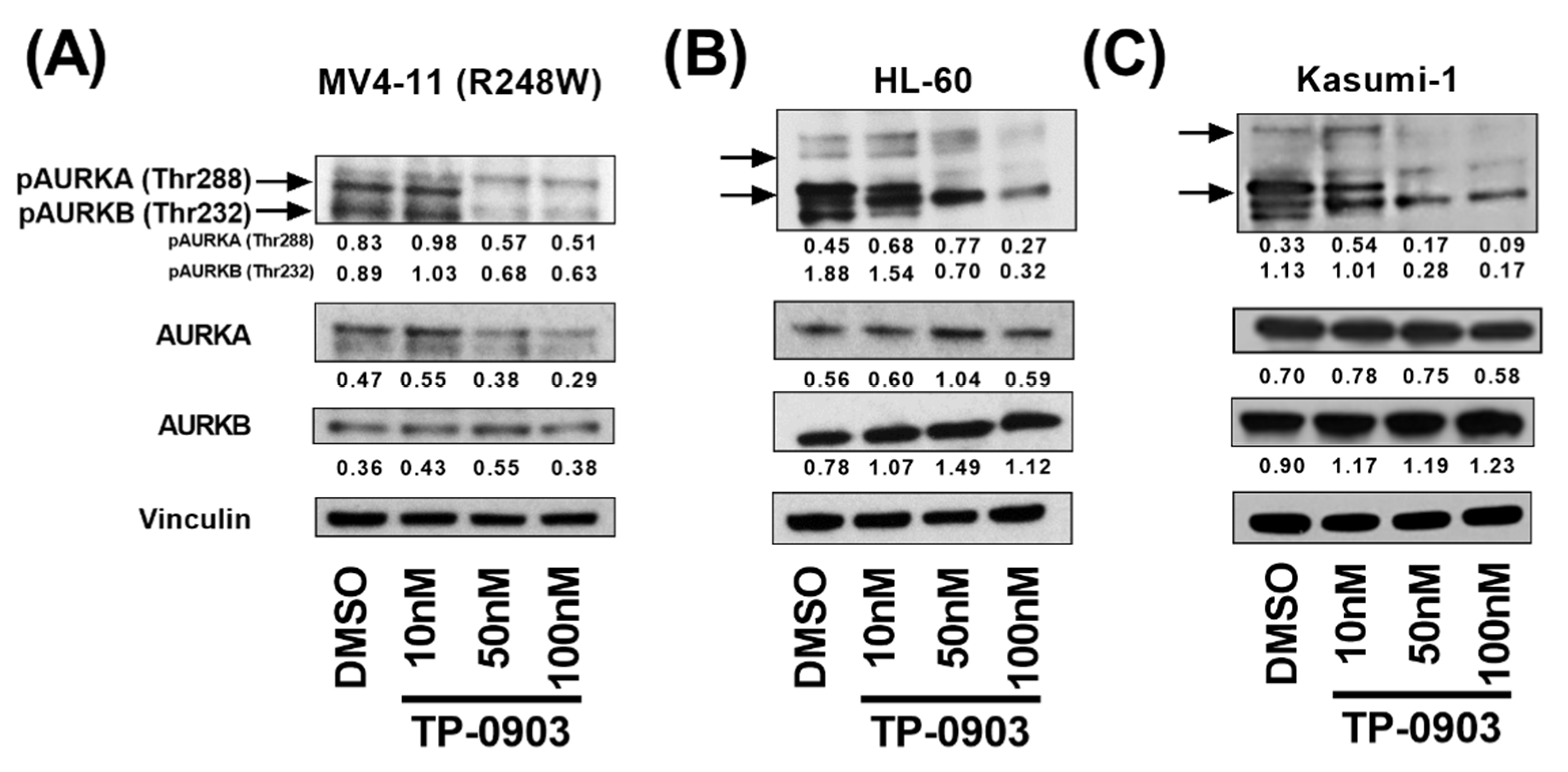 Cancers 15 00029 g001