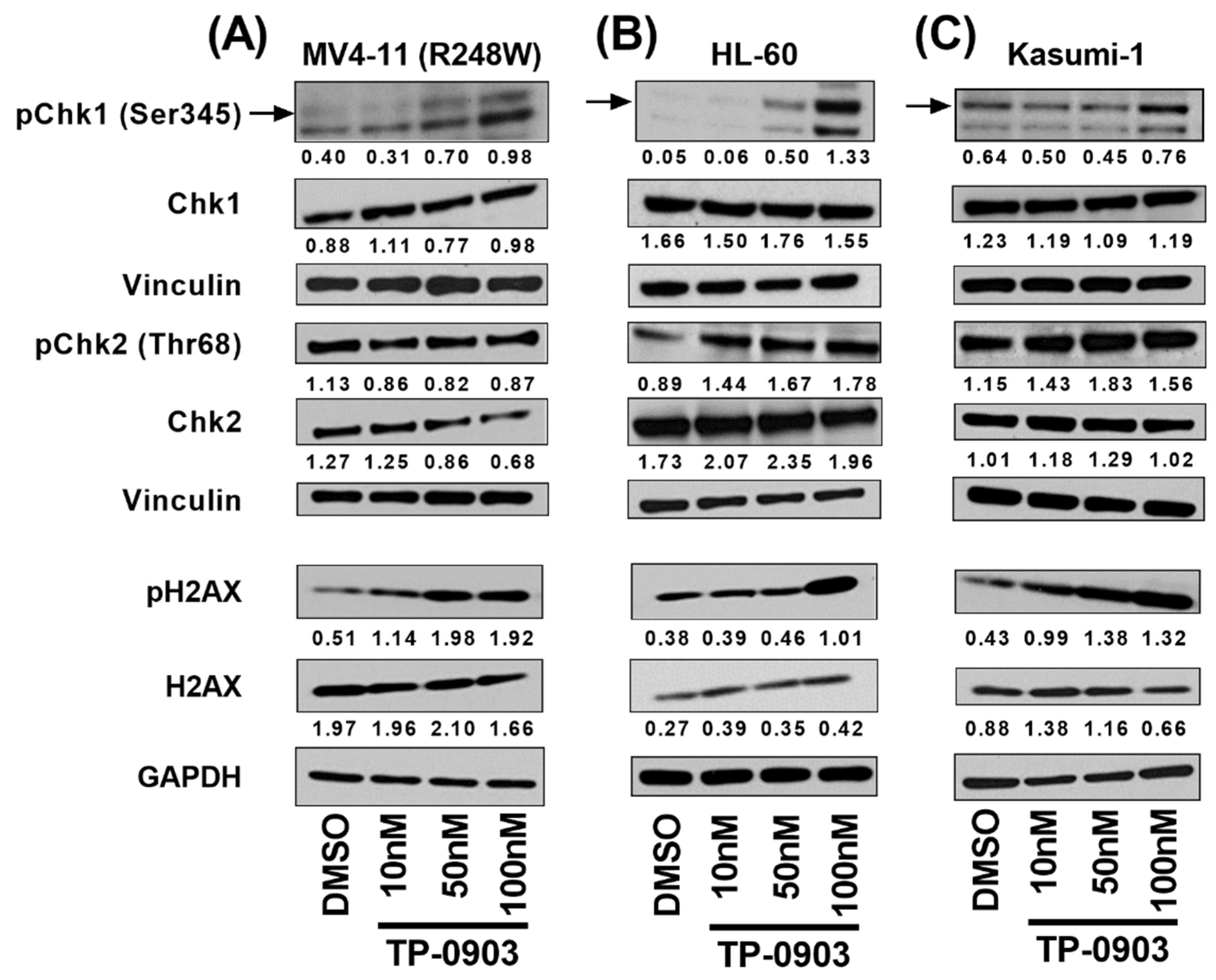 Cancers 15 00029 g003