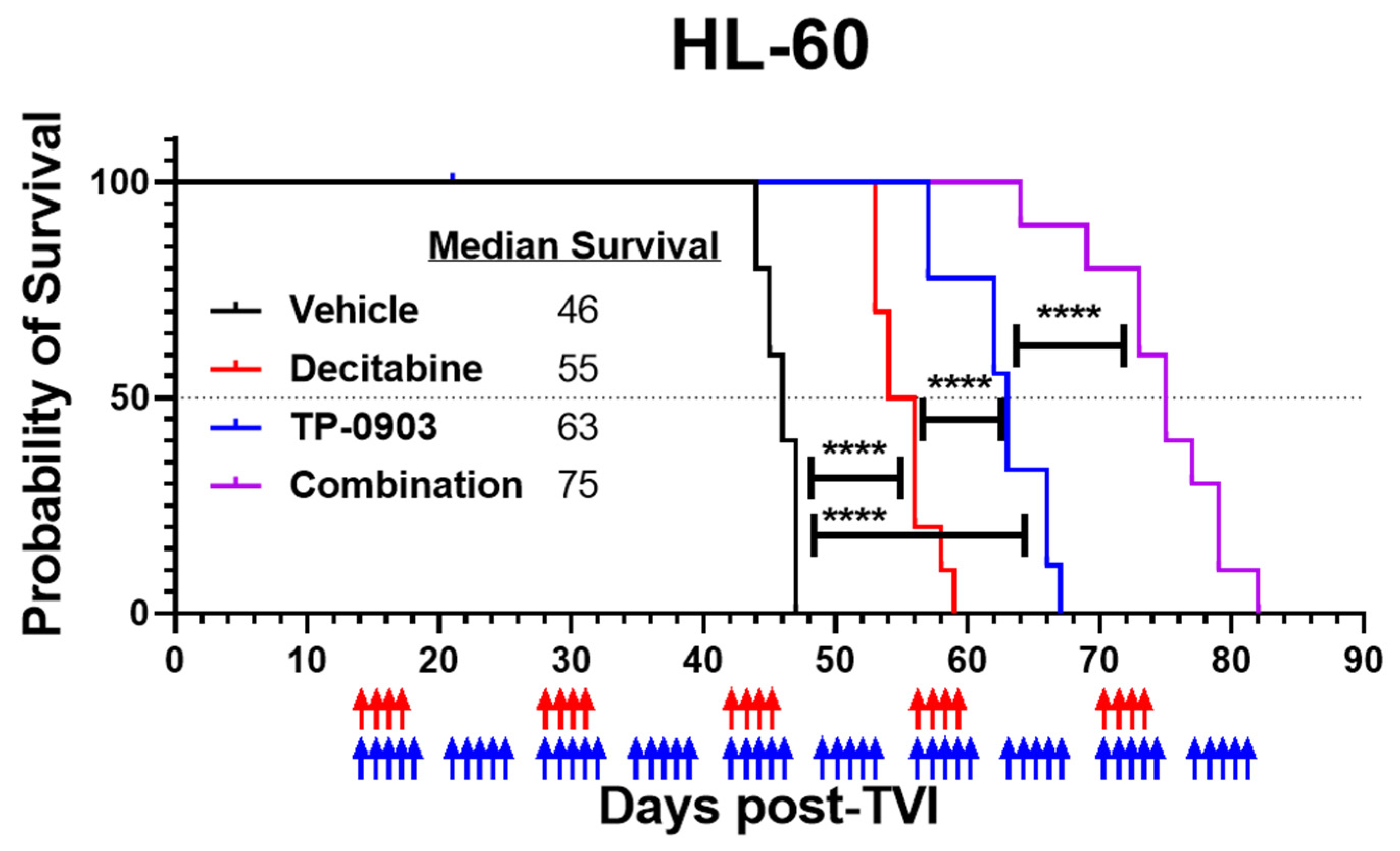 Cancers 15 00029 g005