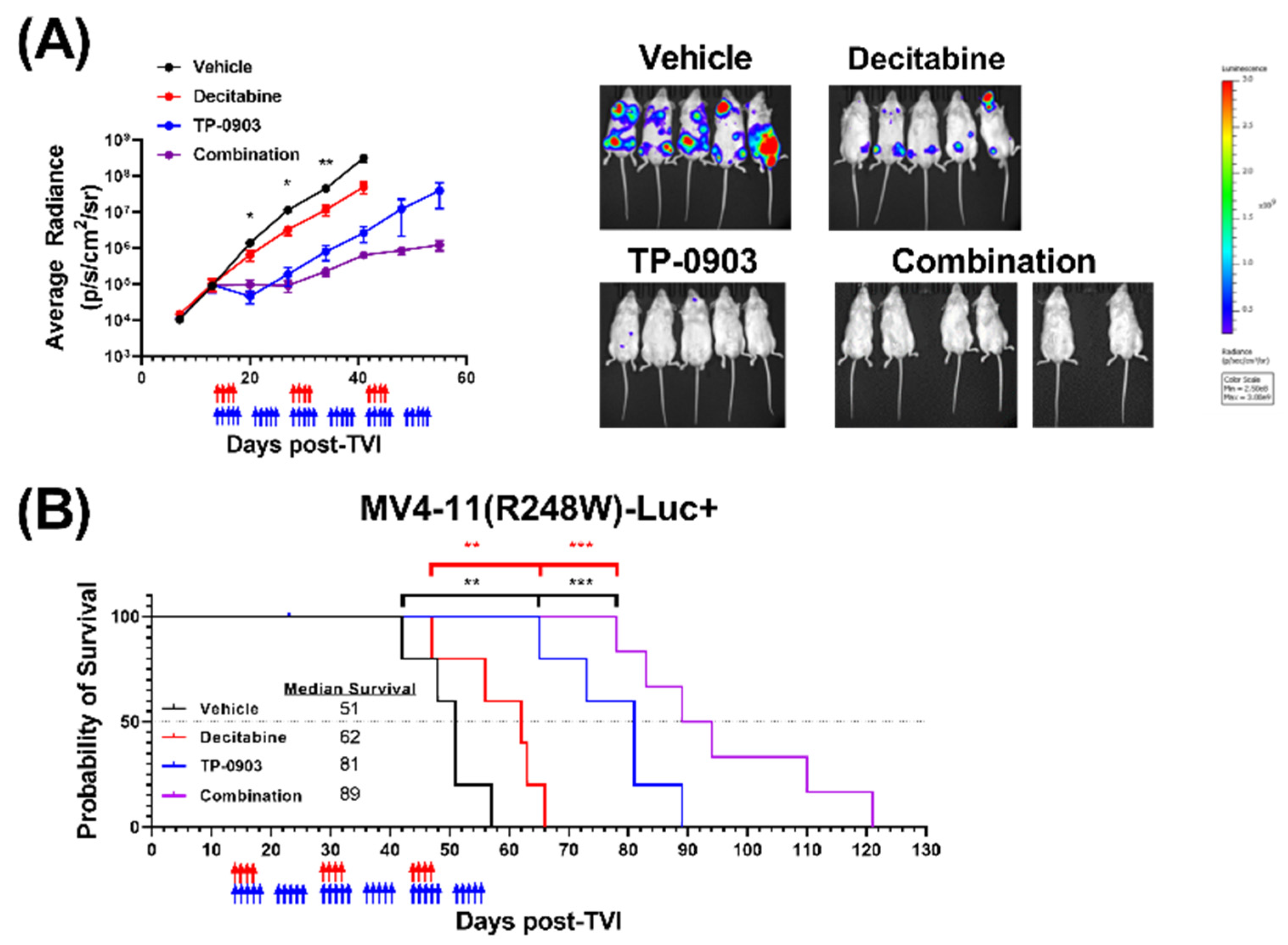 Cancers 15 00029 g006