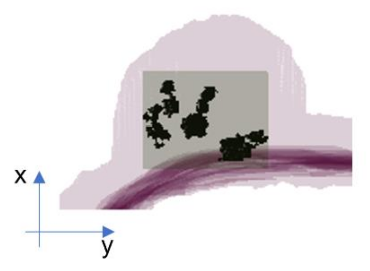 Cancers 15 00036 g001