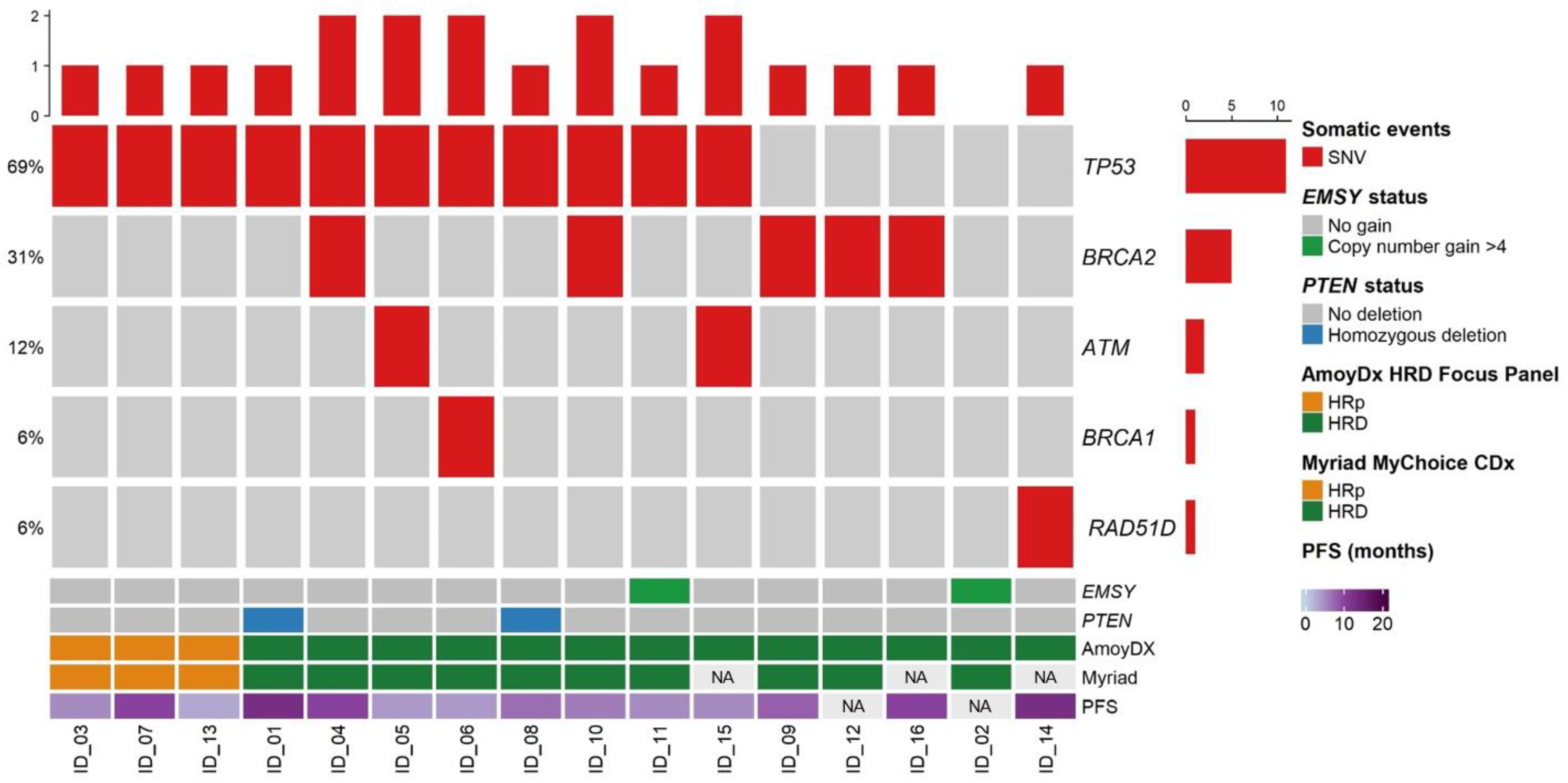 Cancers 15 00043 g001