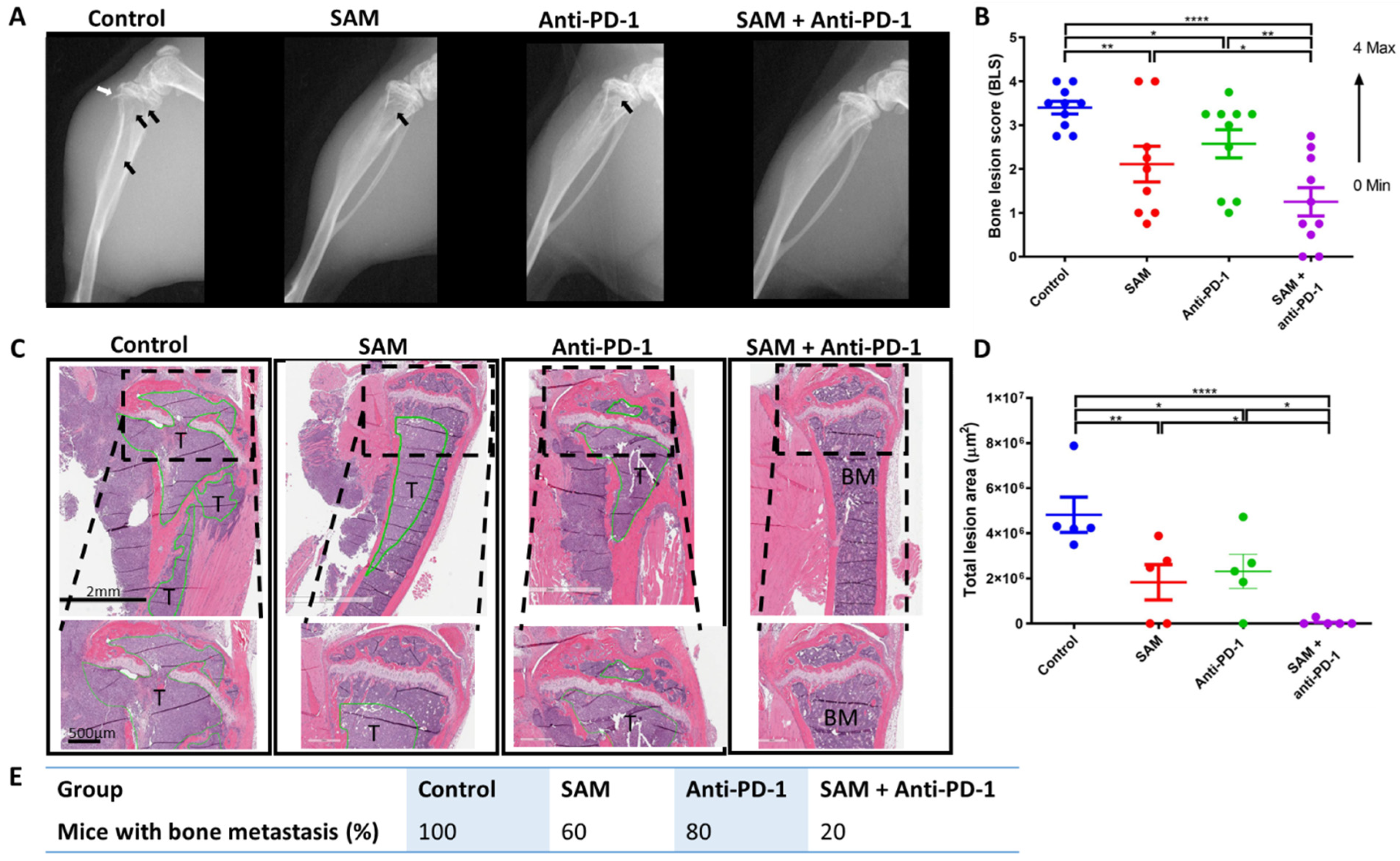 Cancers 15 00048 g005