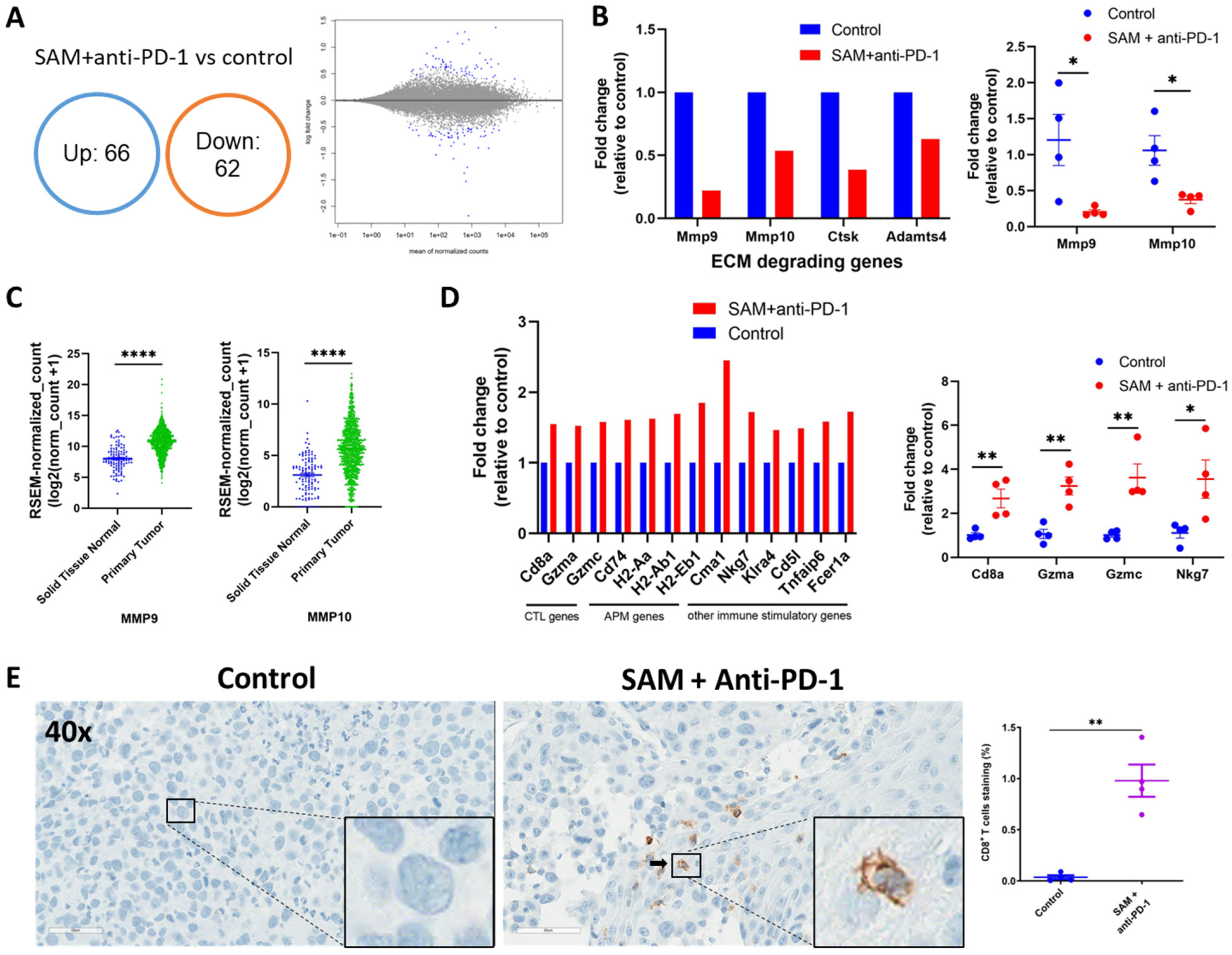 Cancers 15 00048 g006