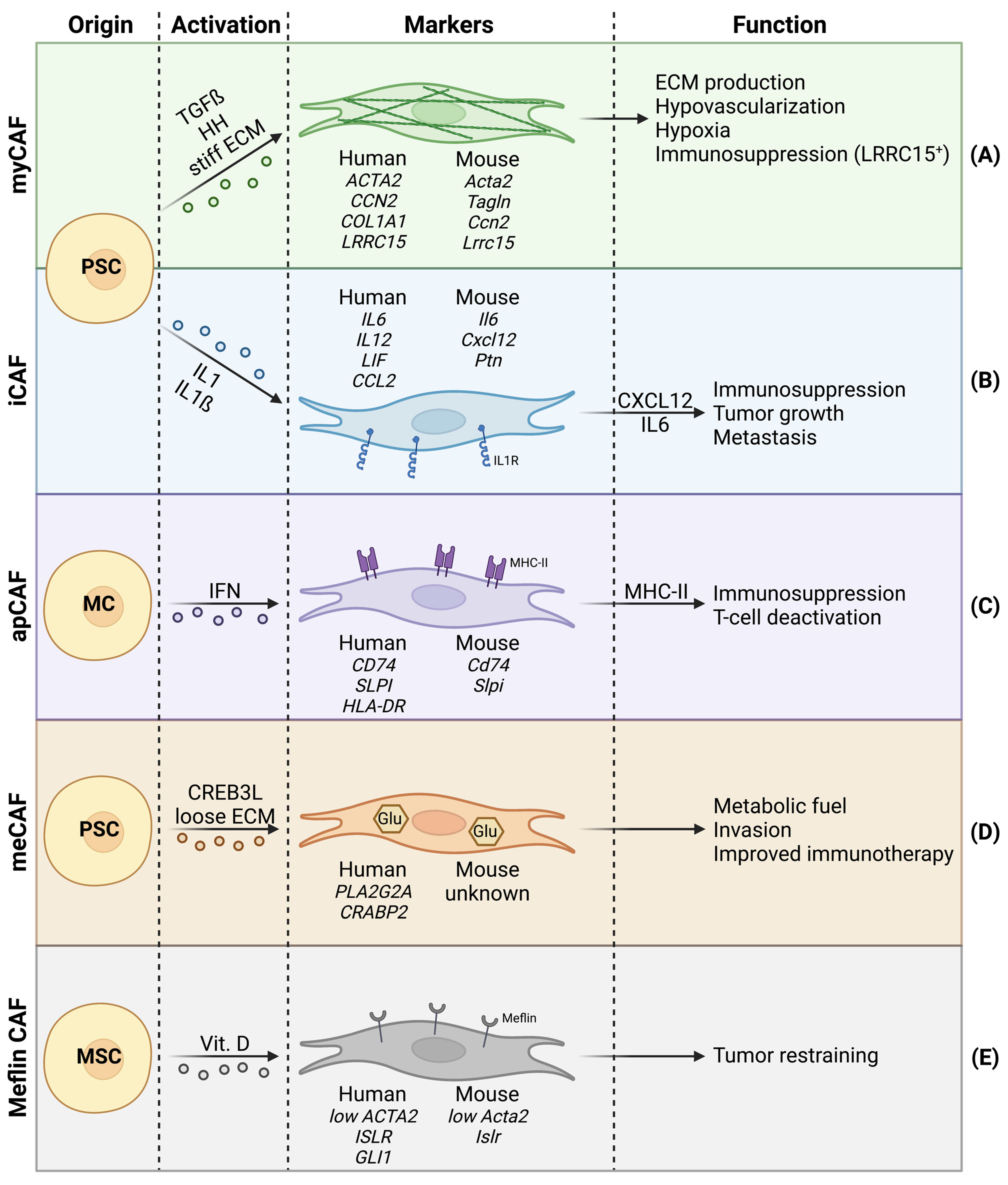 Cancers 15 00061 g001 Cancers 15 00061 g001