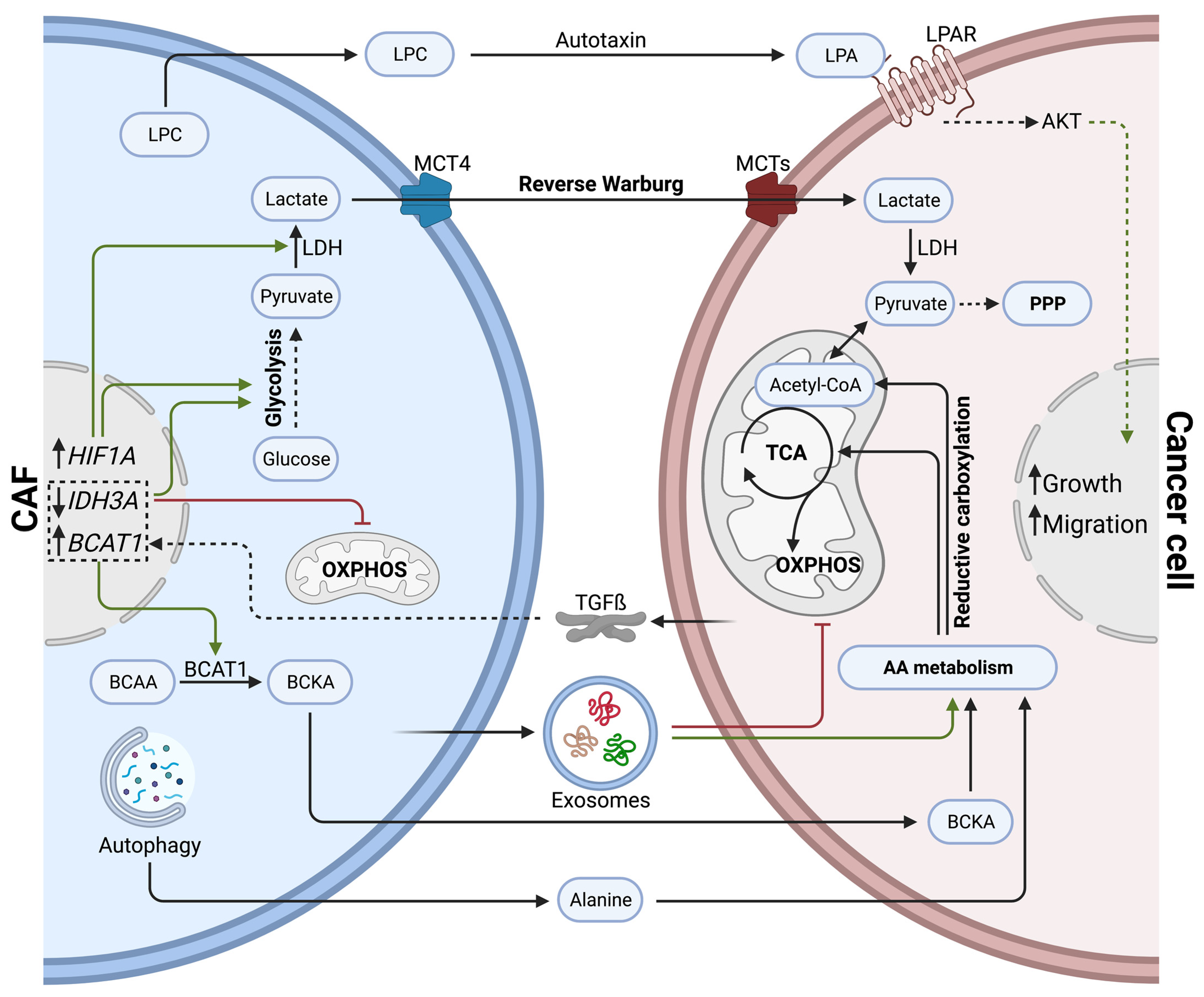 Cancers 15 00061 g002 Cancers 15 00061 g002