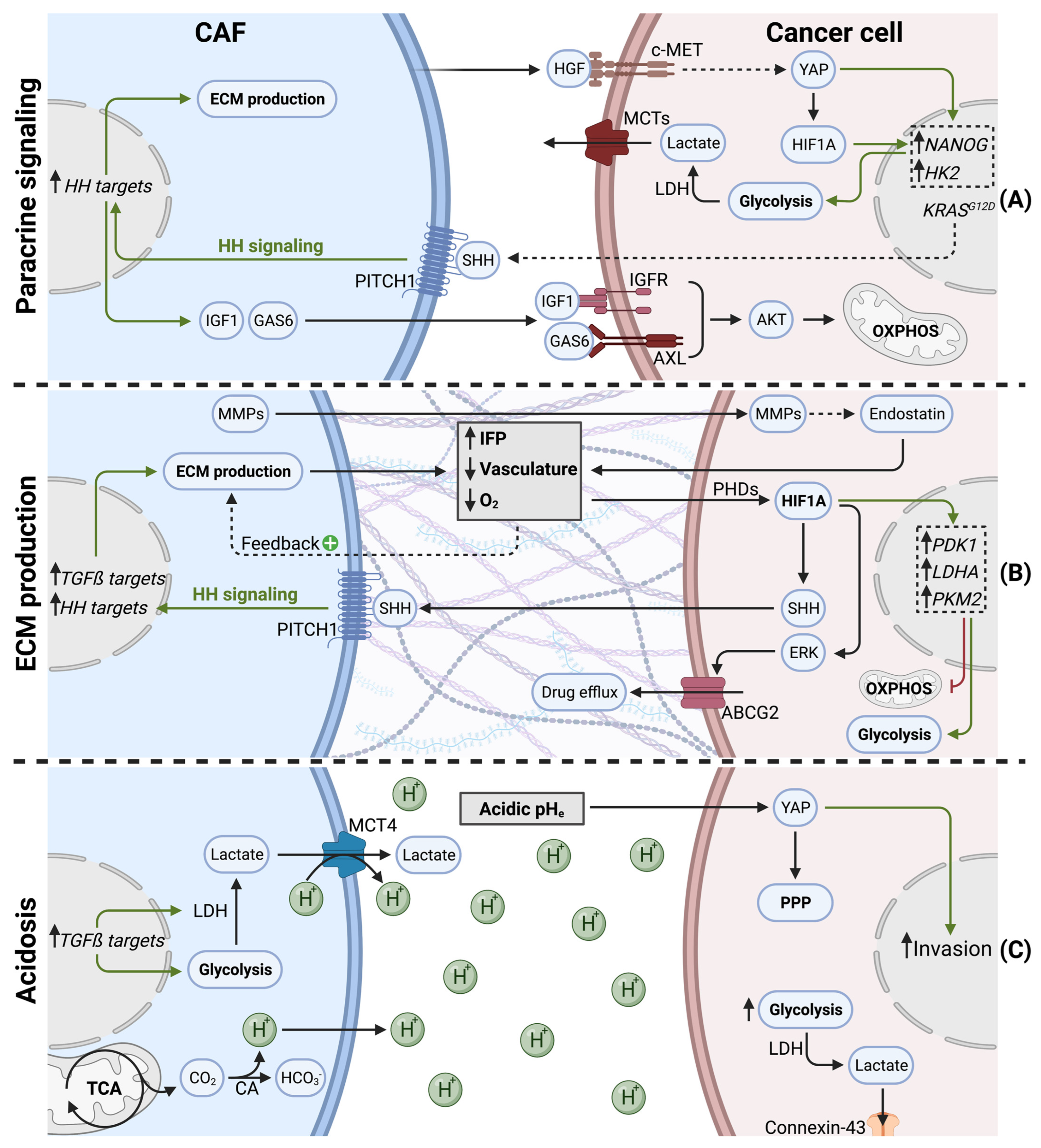 Cancers 15 00061 g003 Cancers 15 00061 g003