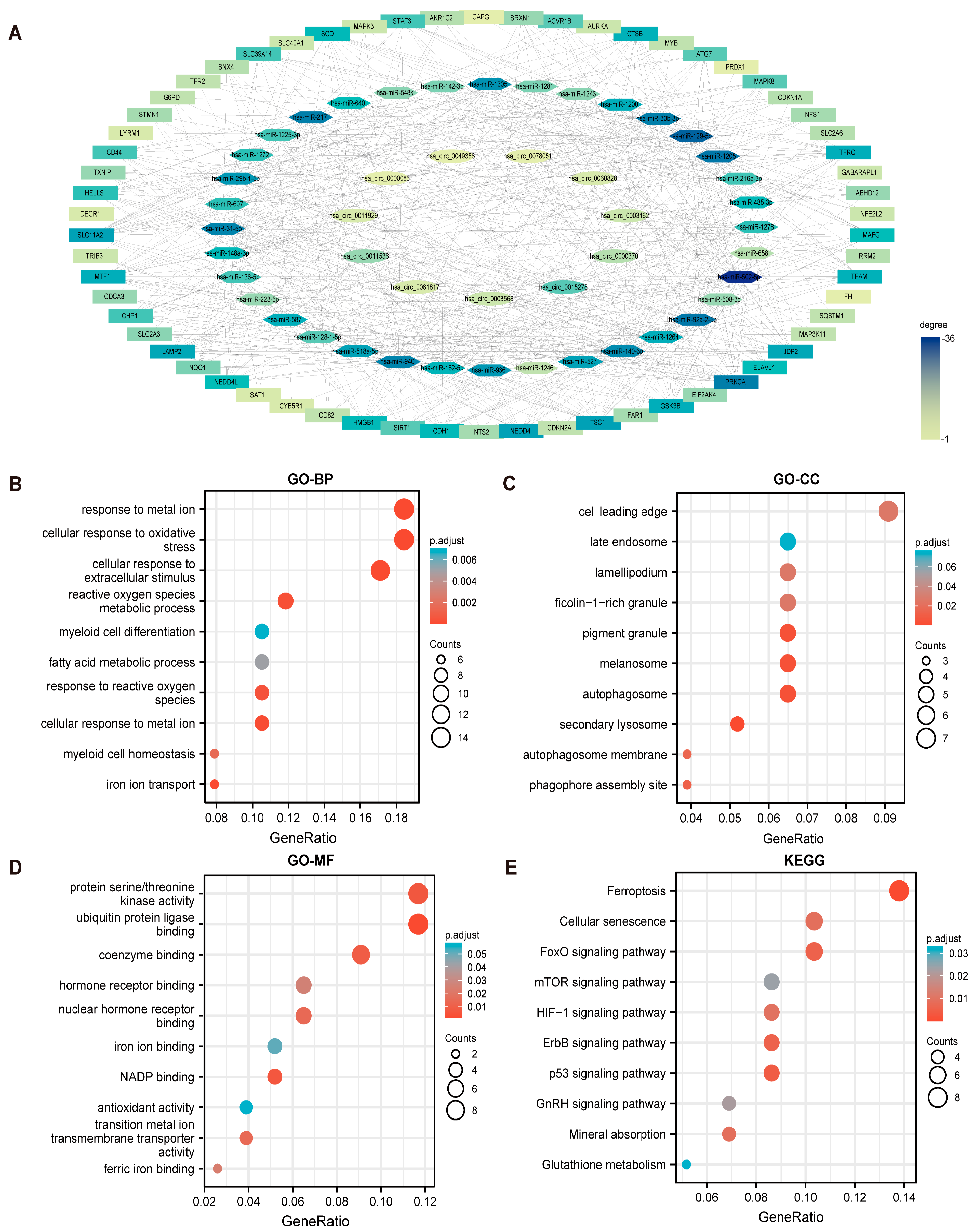 Cancers 15 00071 g002