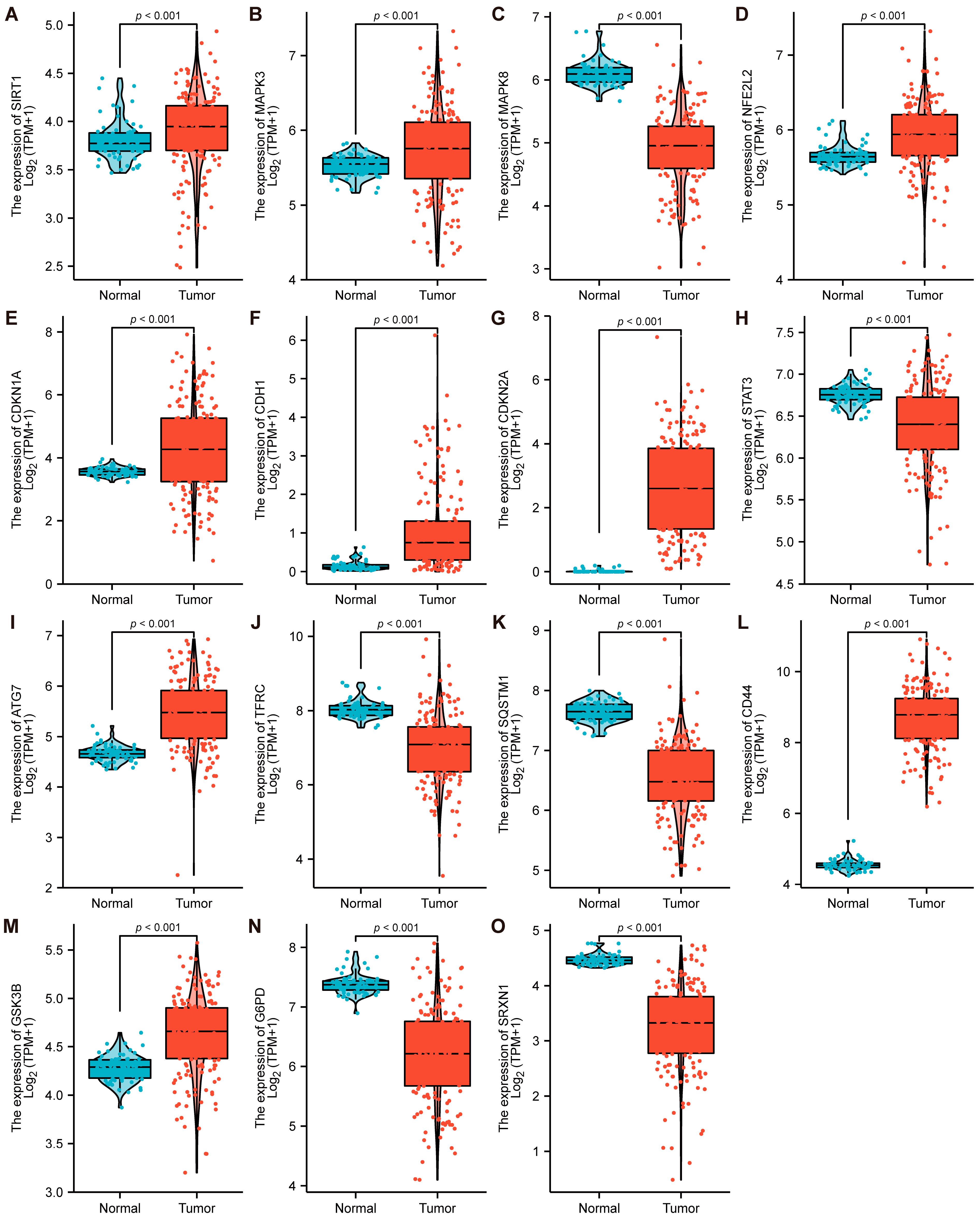 Cancers 15 00071 g004
