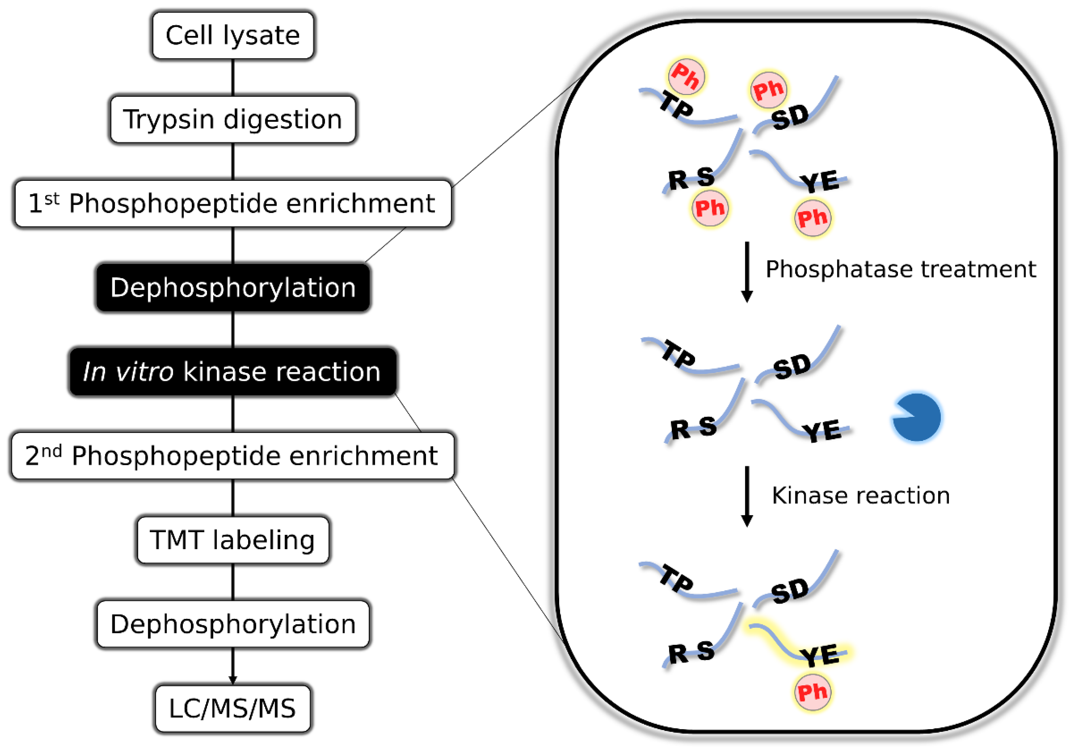 Cancers 15 00078 g001 Cancers 15 00078 g001