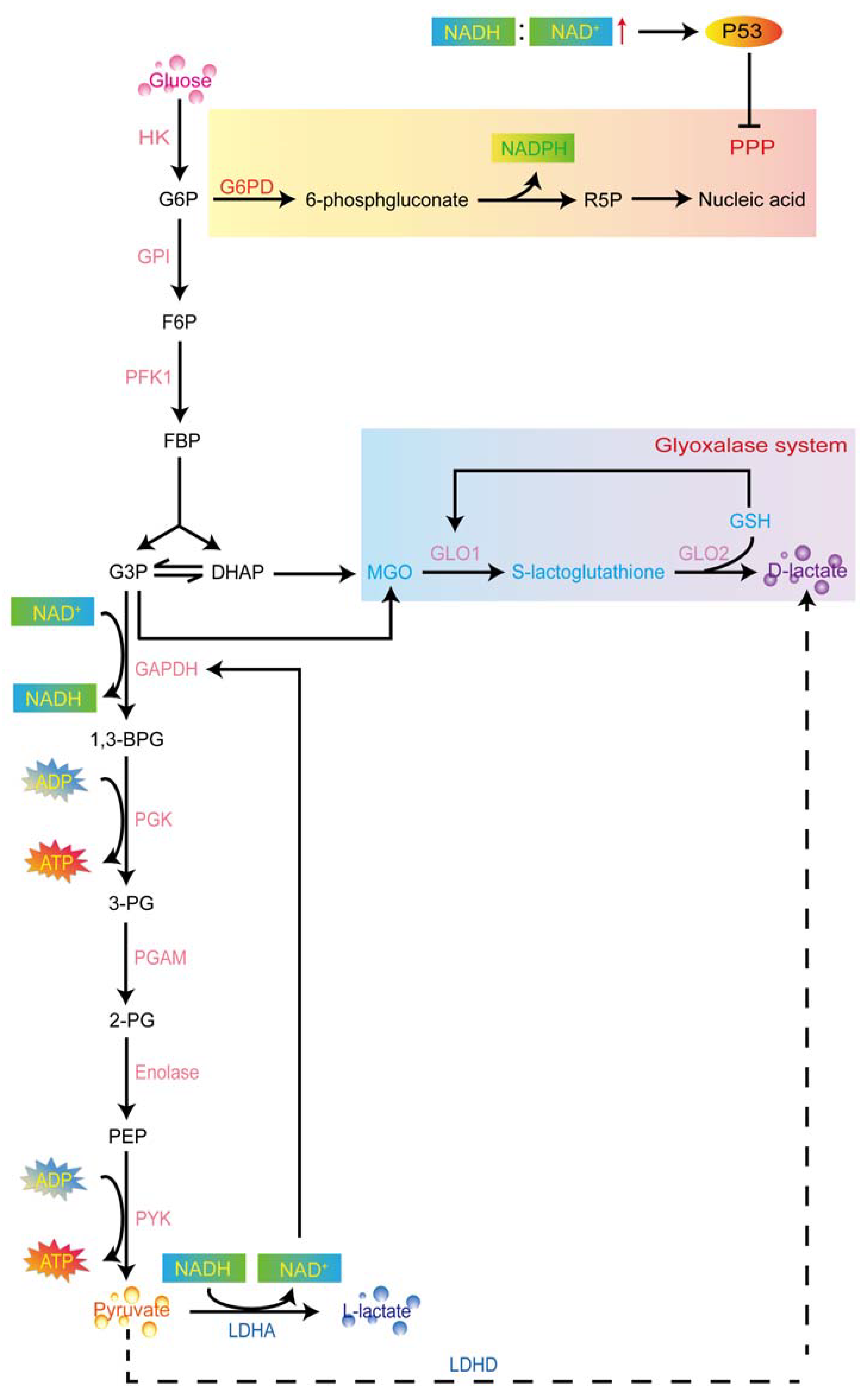 Cancers 15 00087 g001