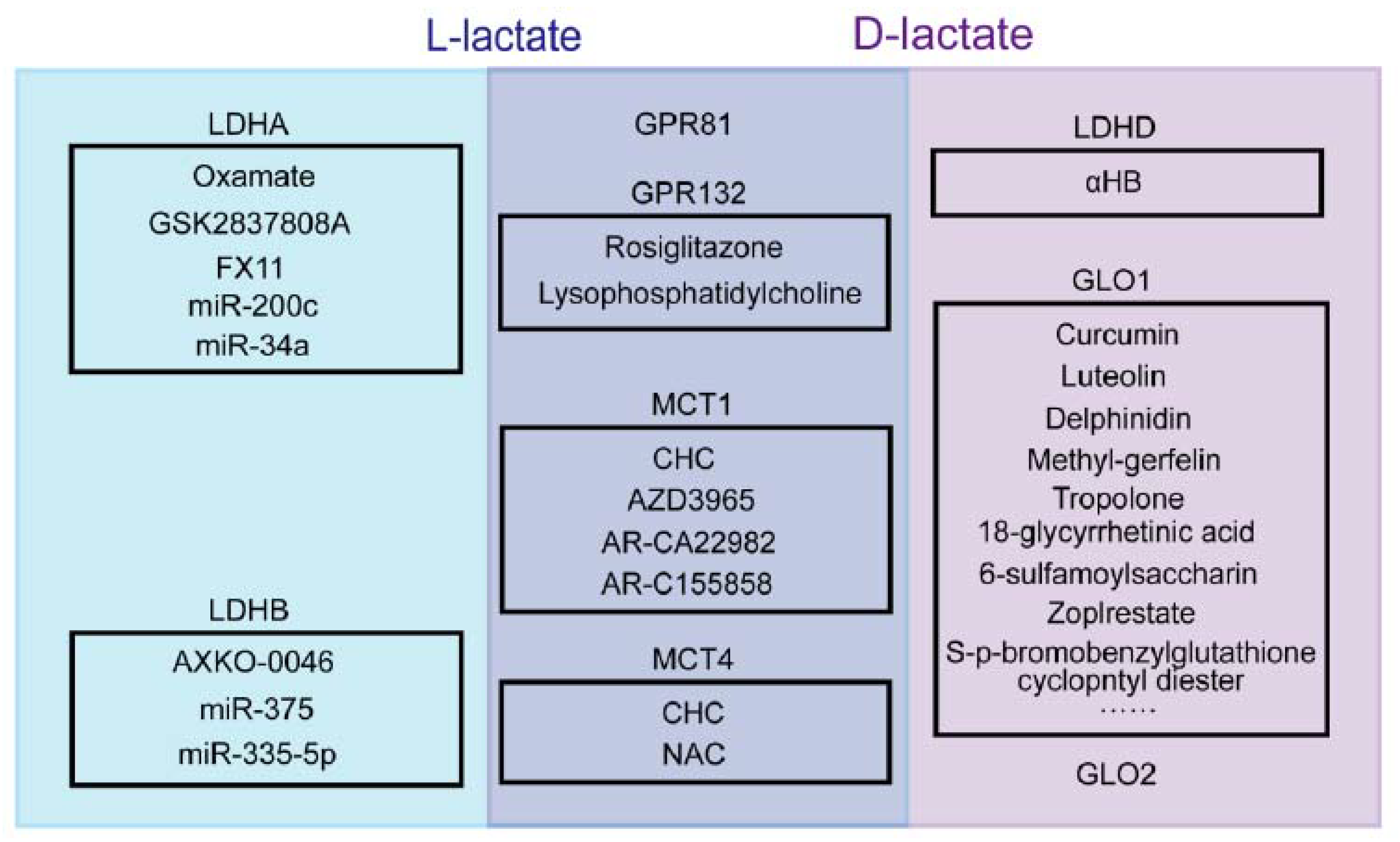 Cancers 15 00087 g002