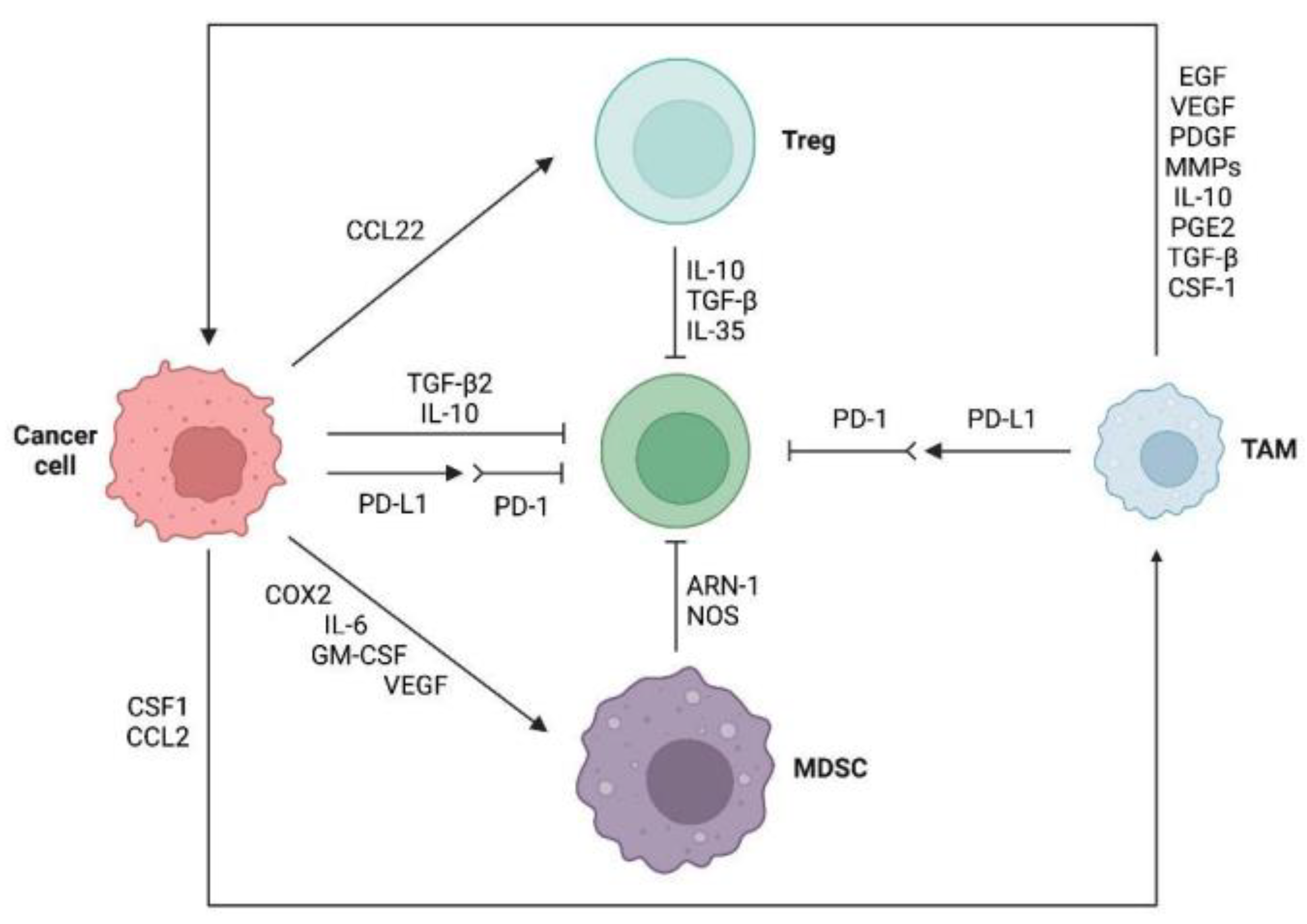 Cancers 15 00104 g002