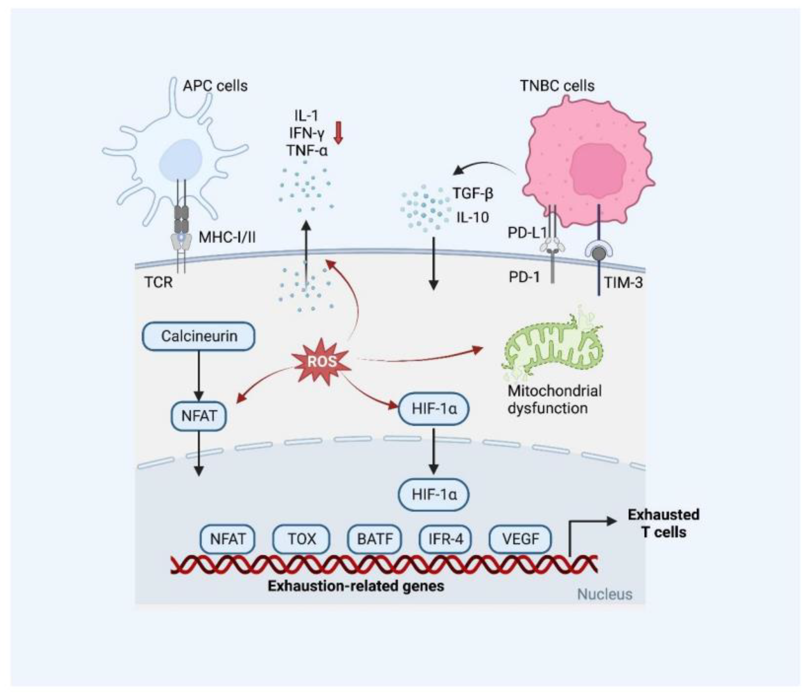 Cancers 15 00104 g004