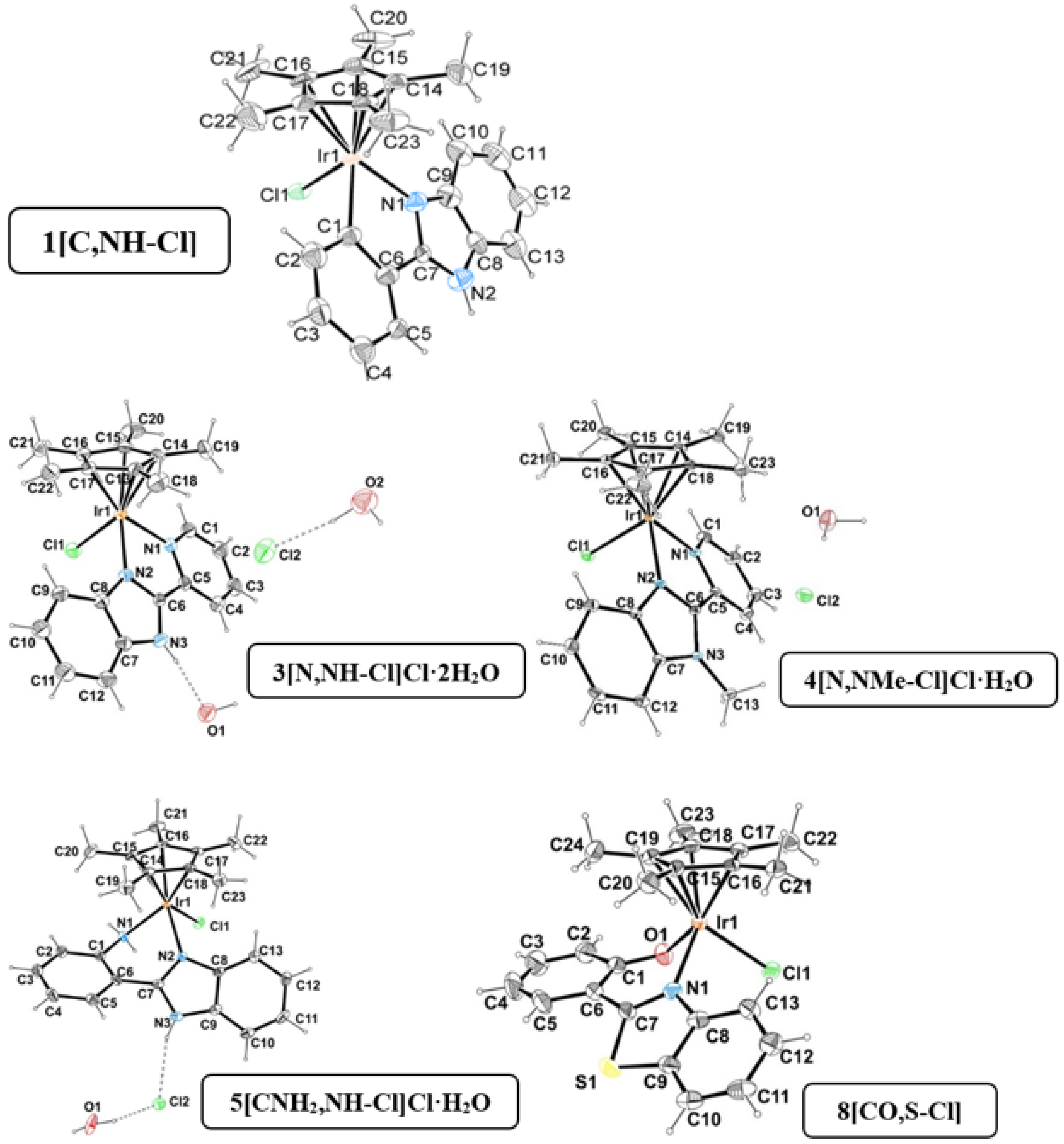 Cancers 15 00107 g003