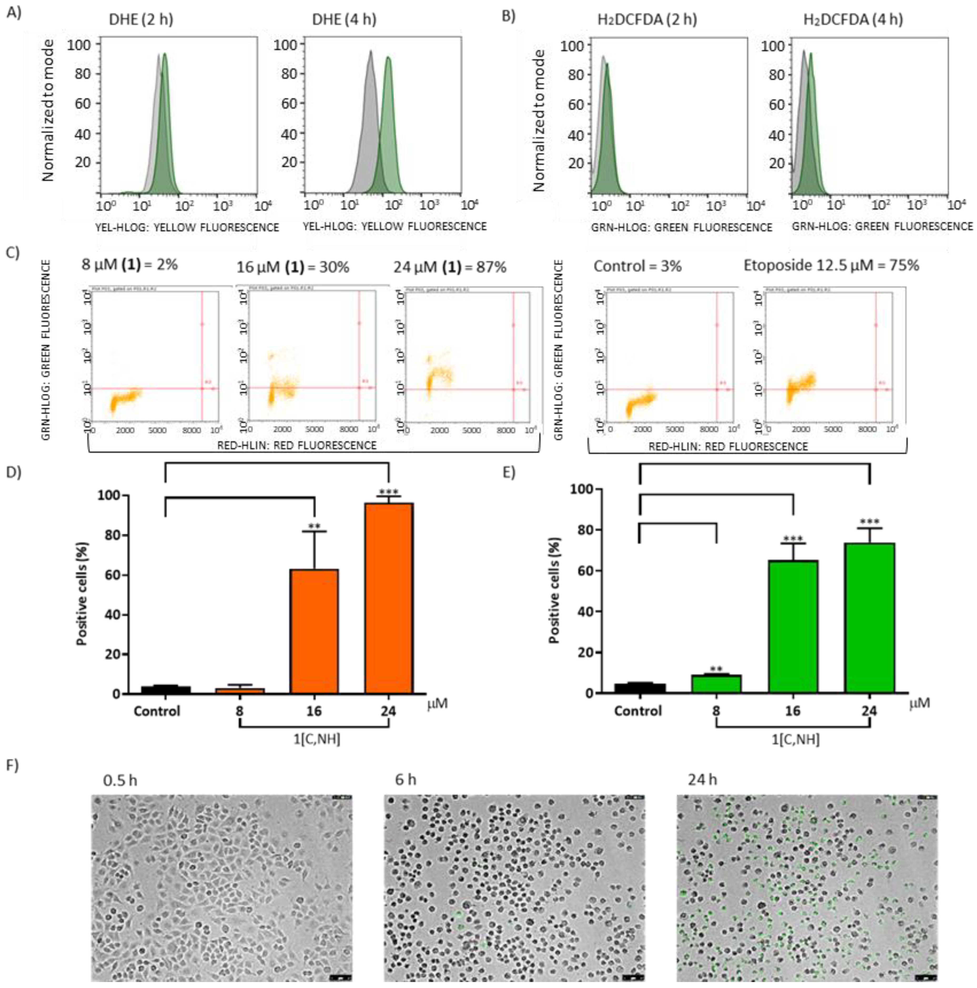 Cancers 15 00107 g006