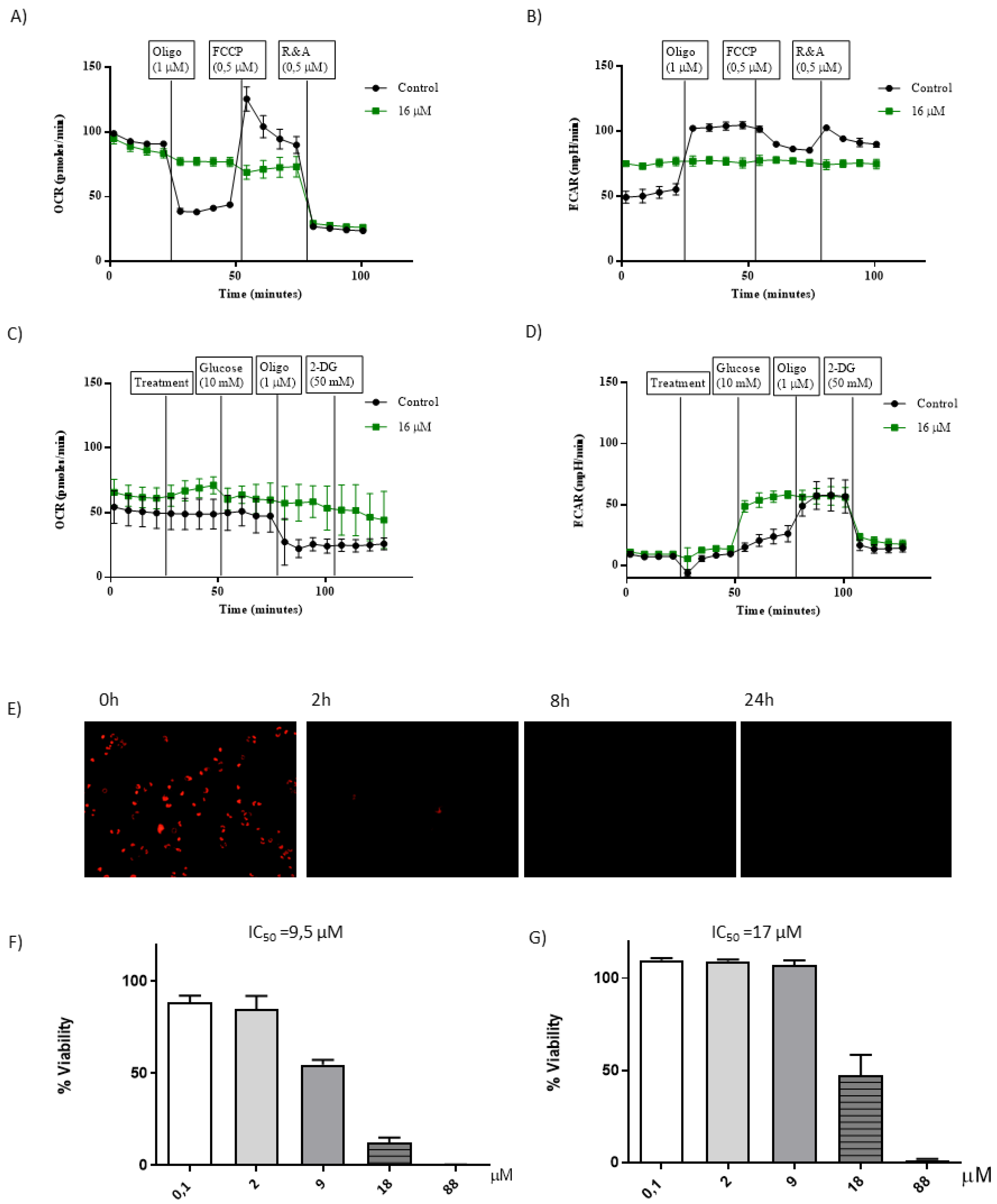 Cancers 15 00107 g007