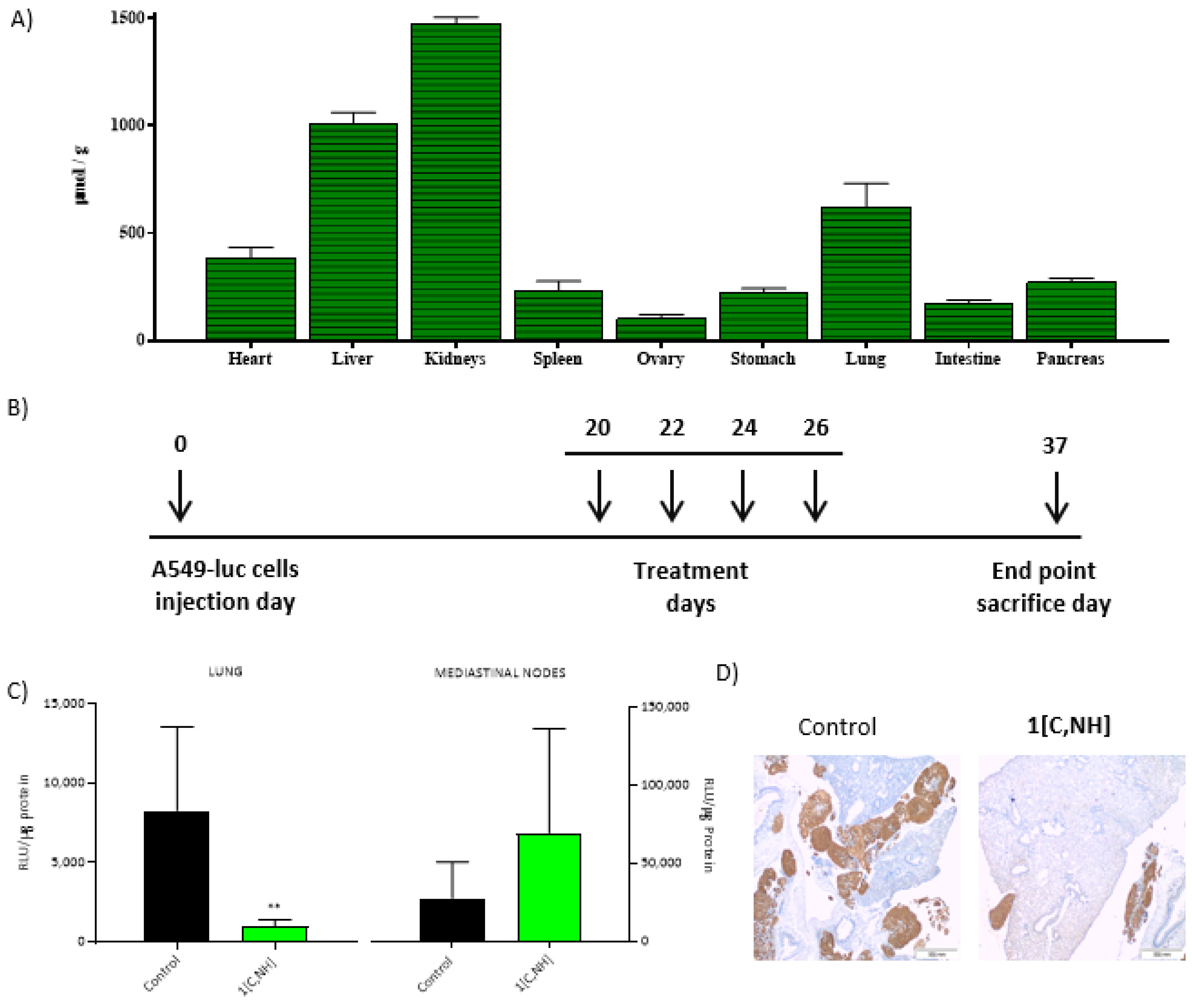 Cancers 15 00107 g008