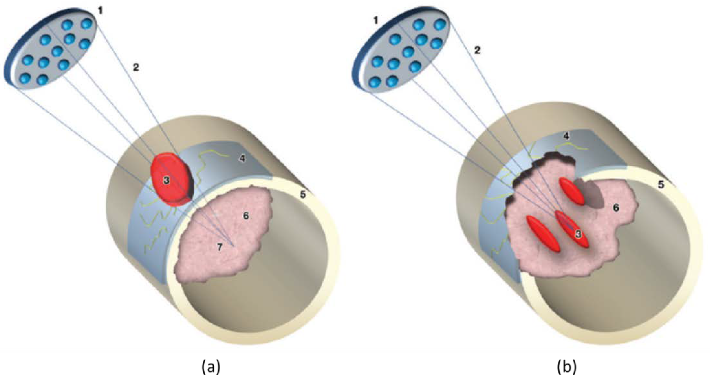 Cancers 15 00108 g002 Cancers 15 00108 g002