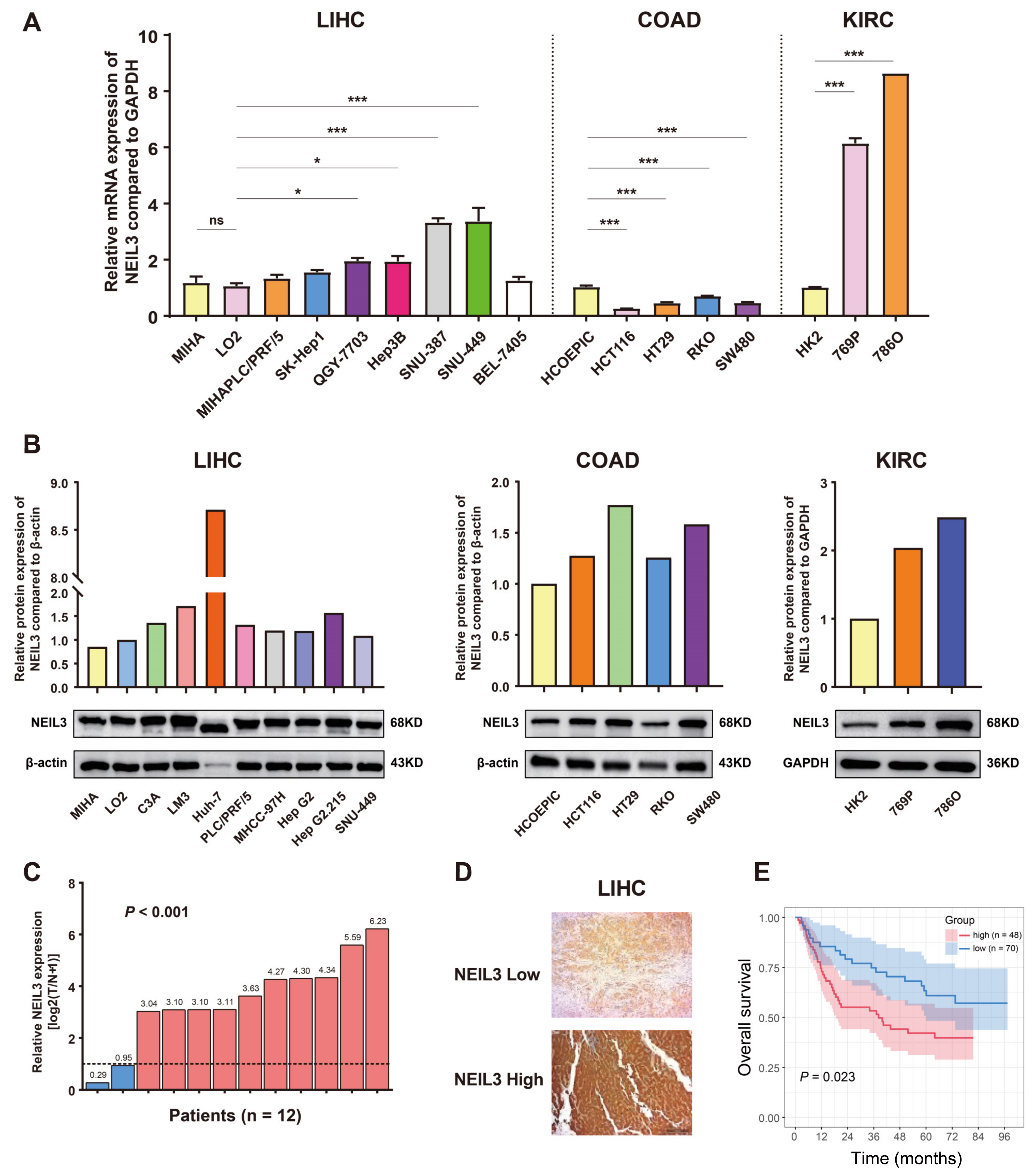 Cancers 15 00109 g002