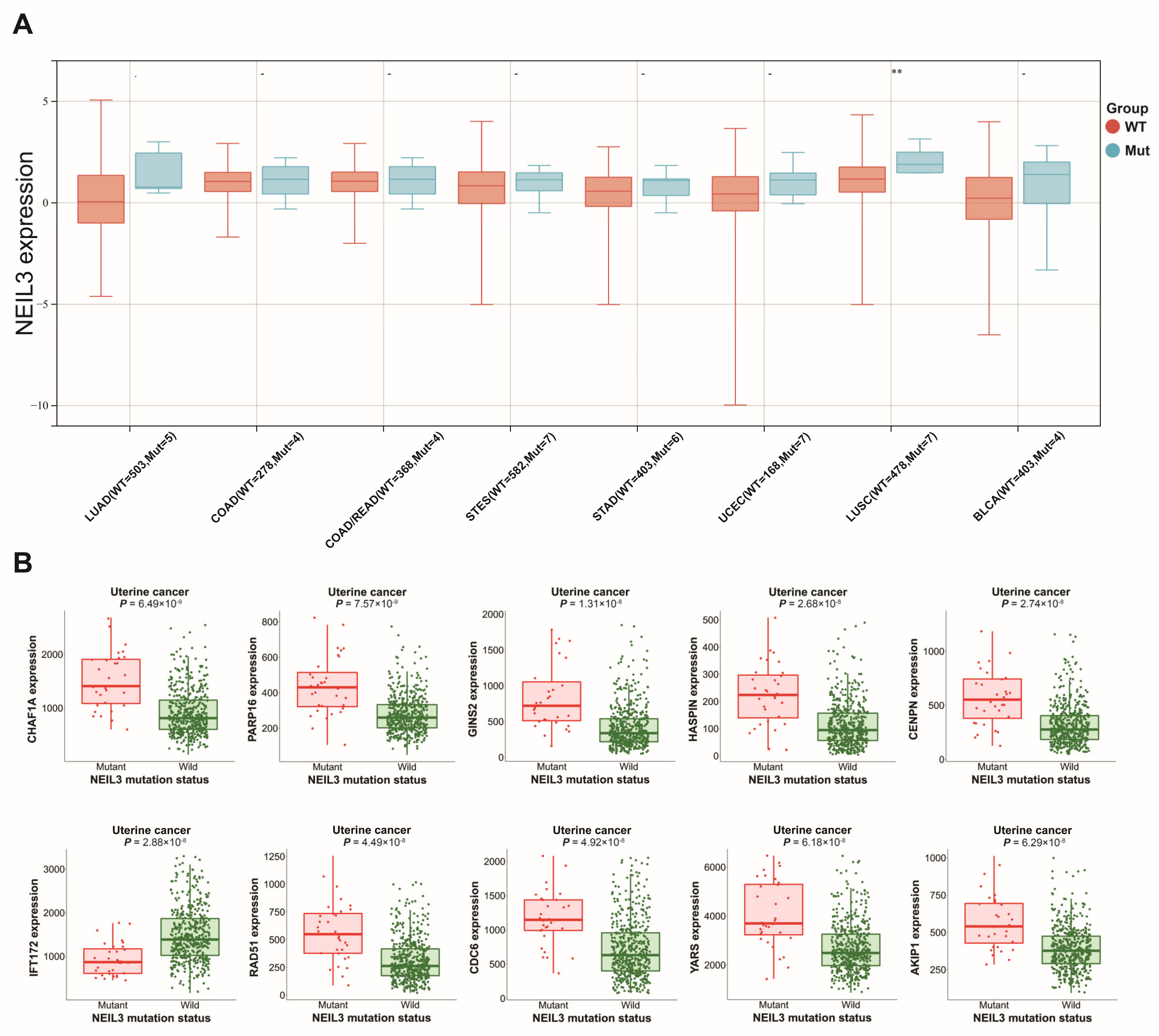 Cancers 15 00109 g004