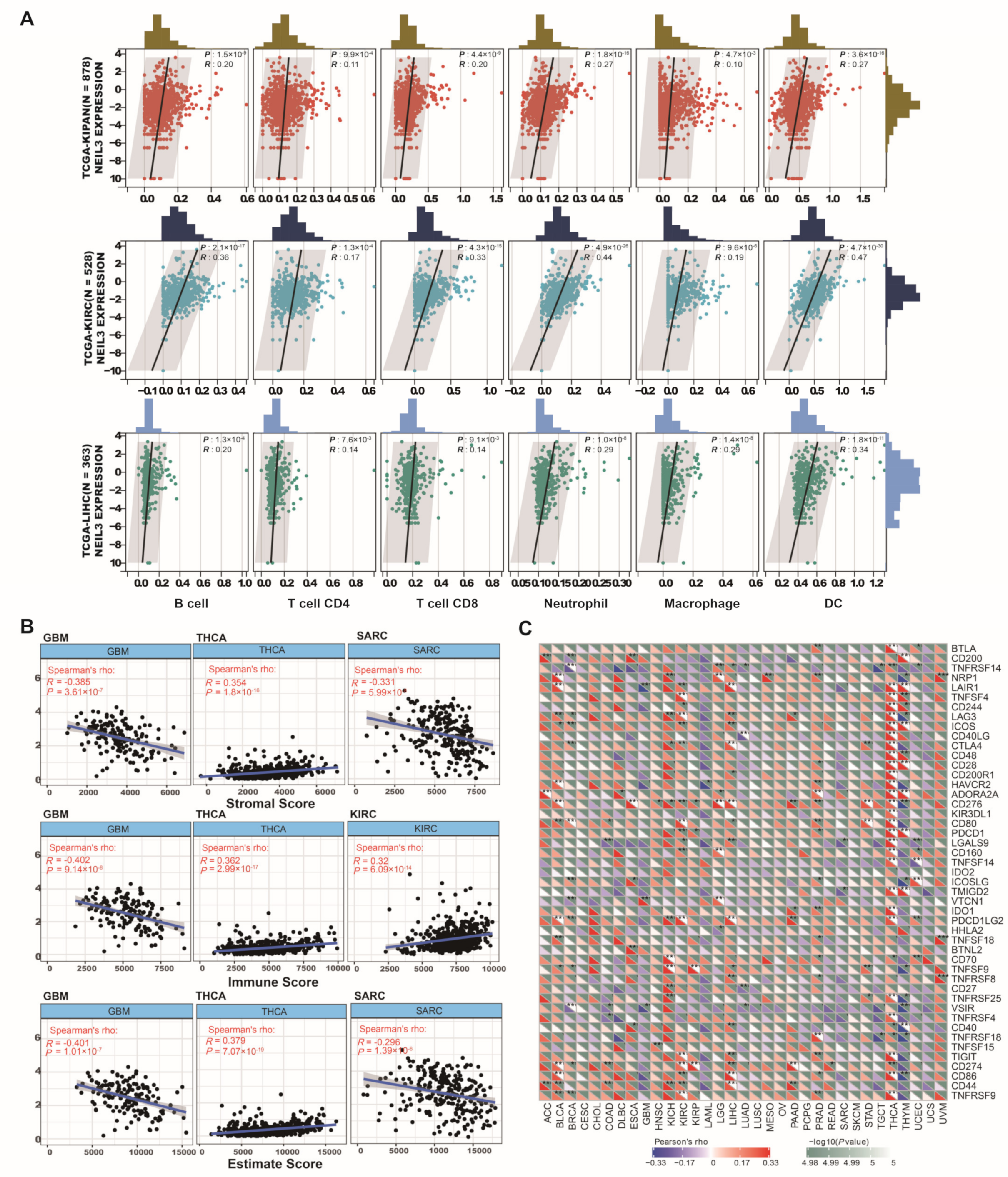 Cancers 15 00109 g006
