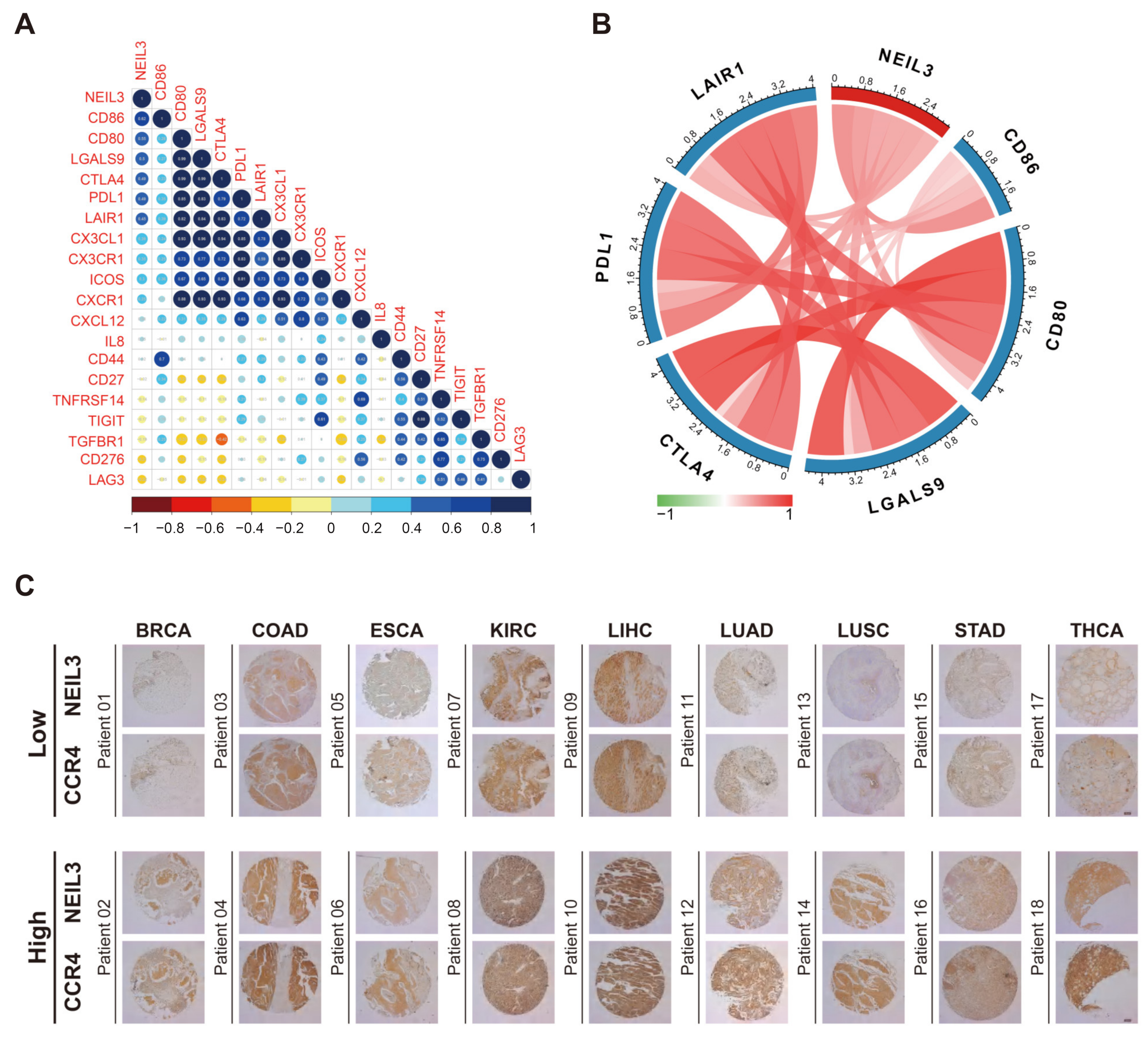 Cancers 15 00109 g007