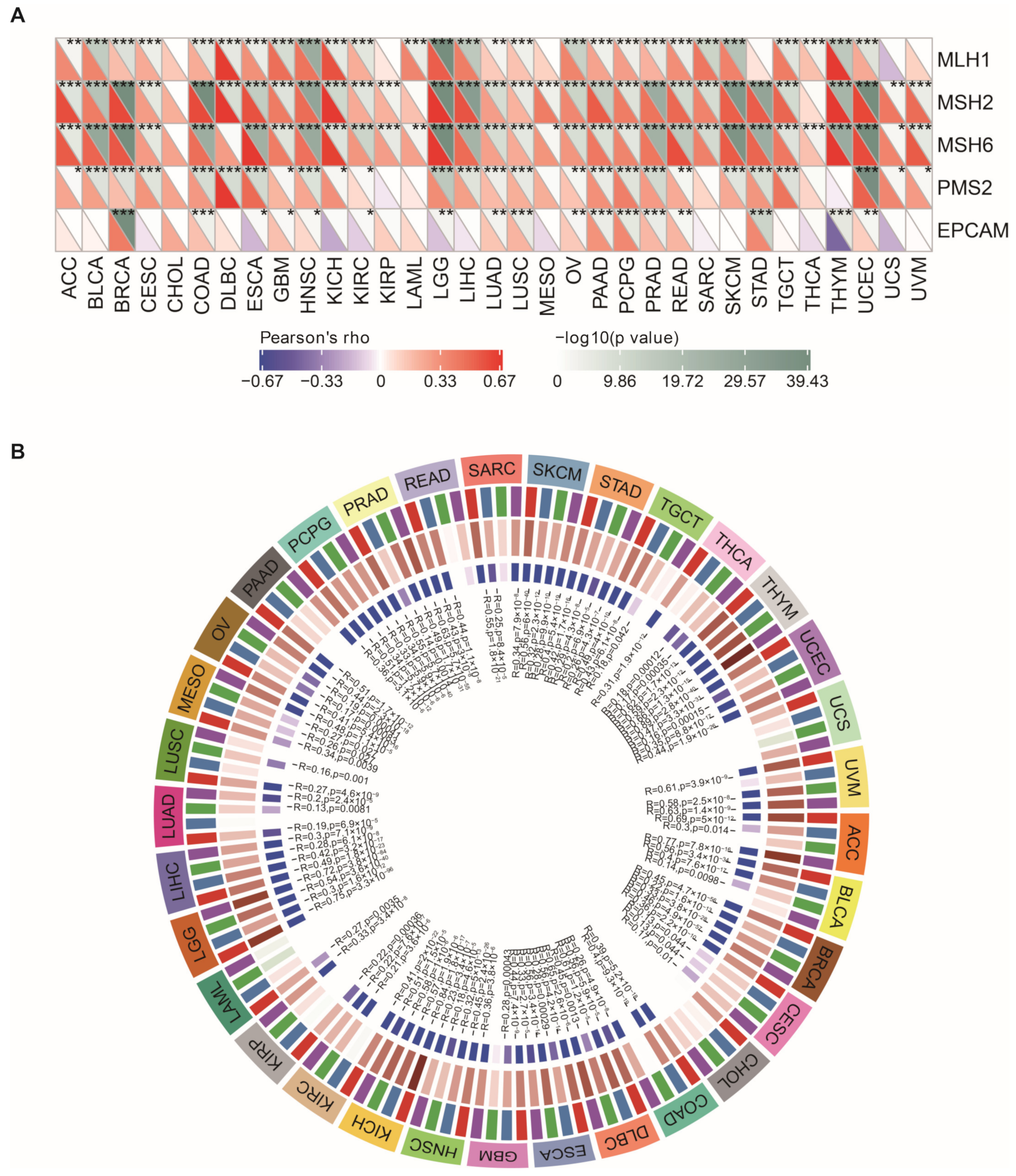 Cancers 15 00109 g009