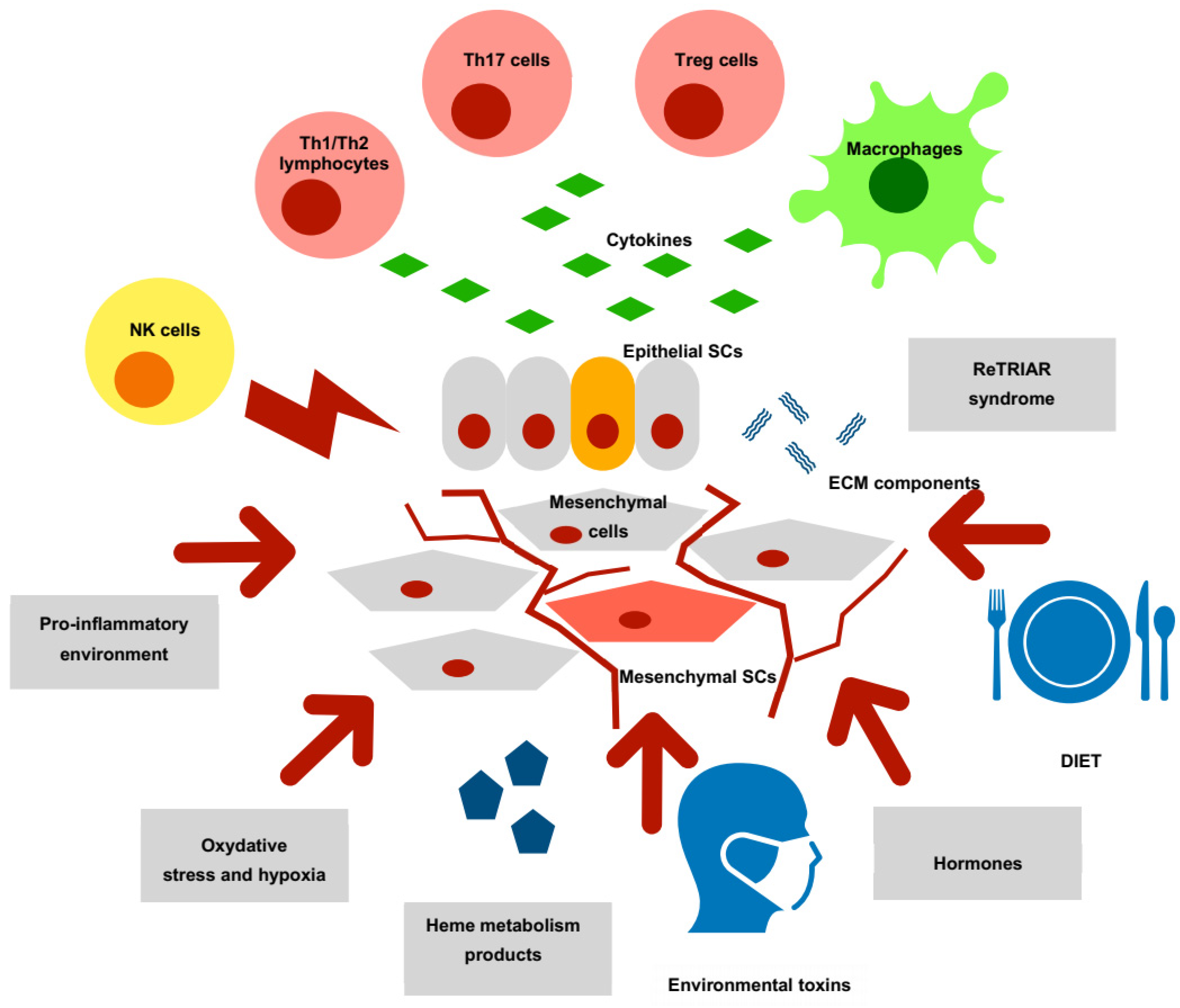 Cancers 15 00111 g001 Cancers 15 00111 g001
