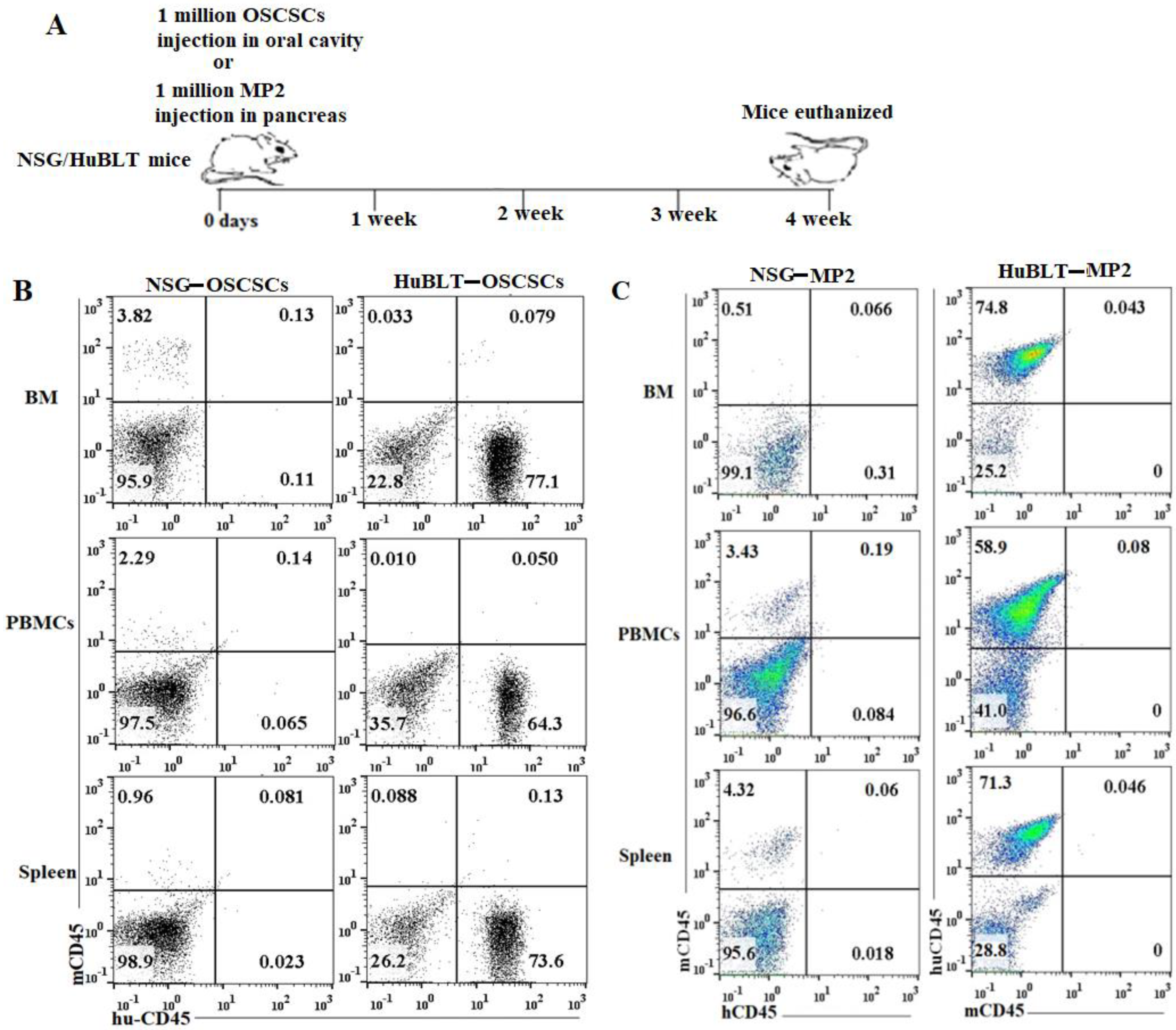 Cancers 15 00112 g001