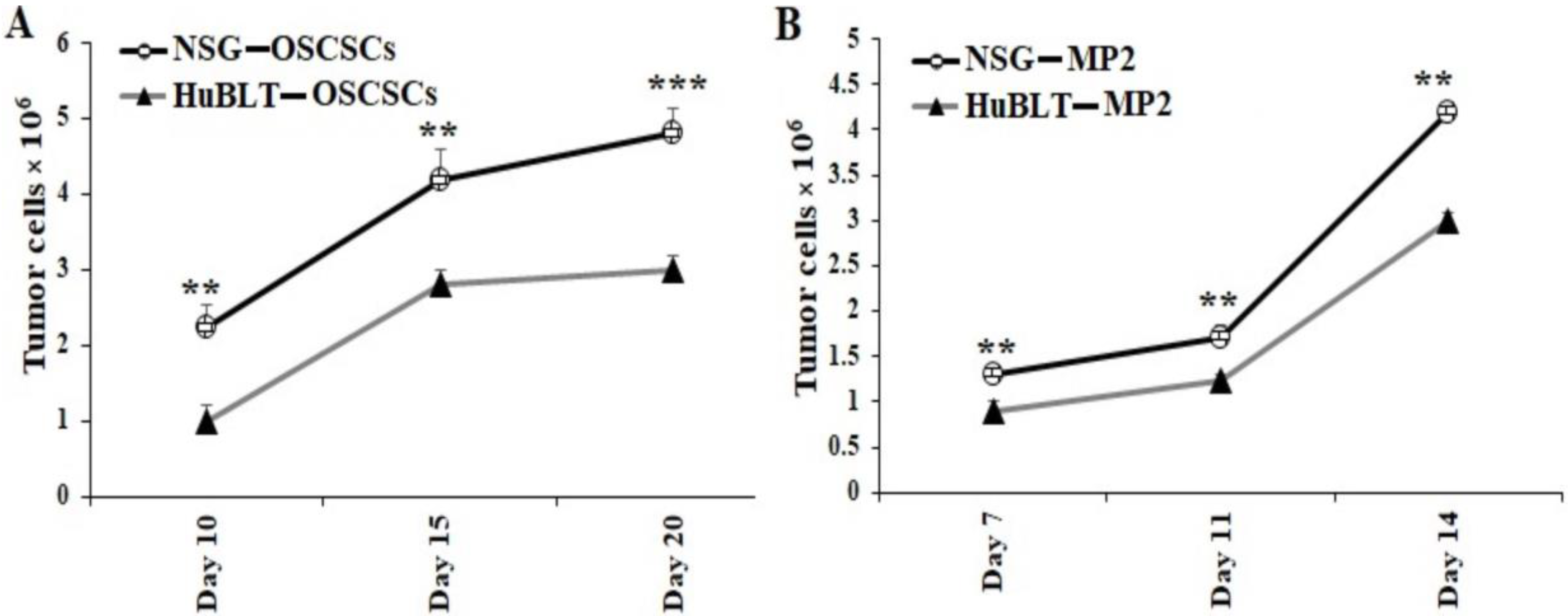 Cancers 15 00112 g004