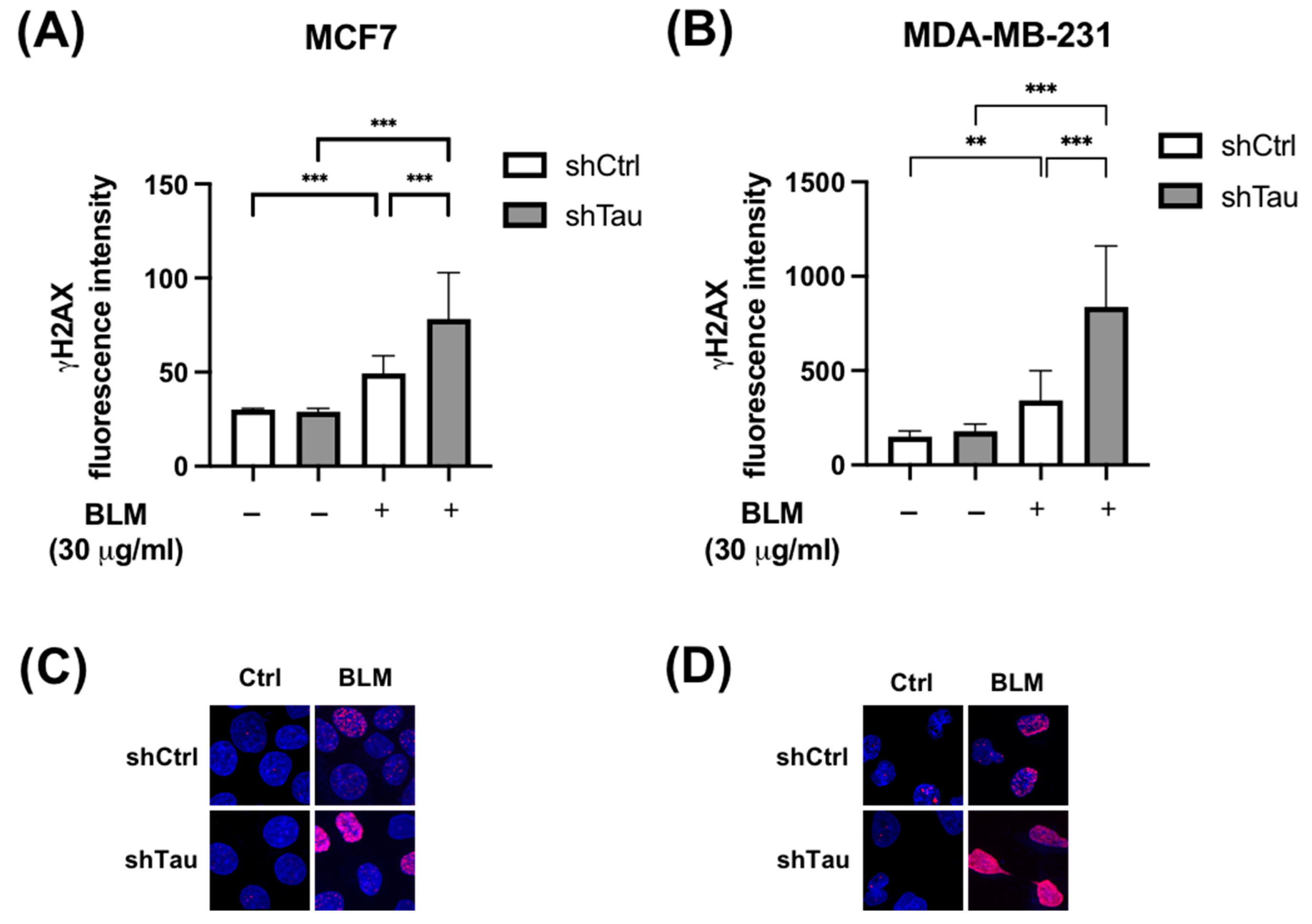 Cancers 15 00116 g001