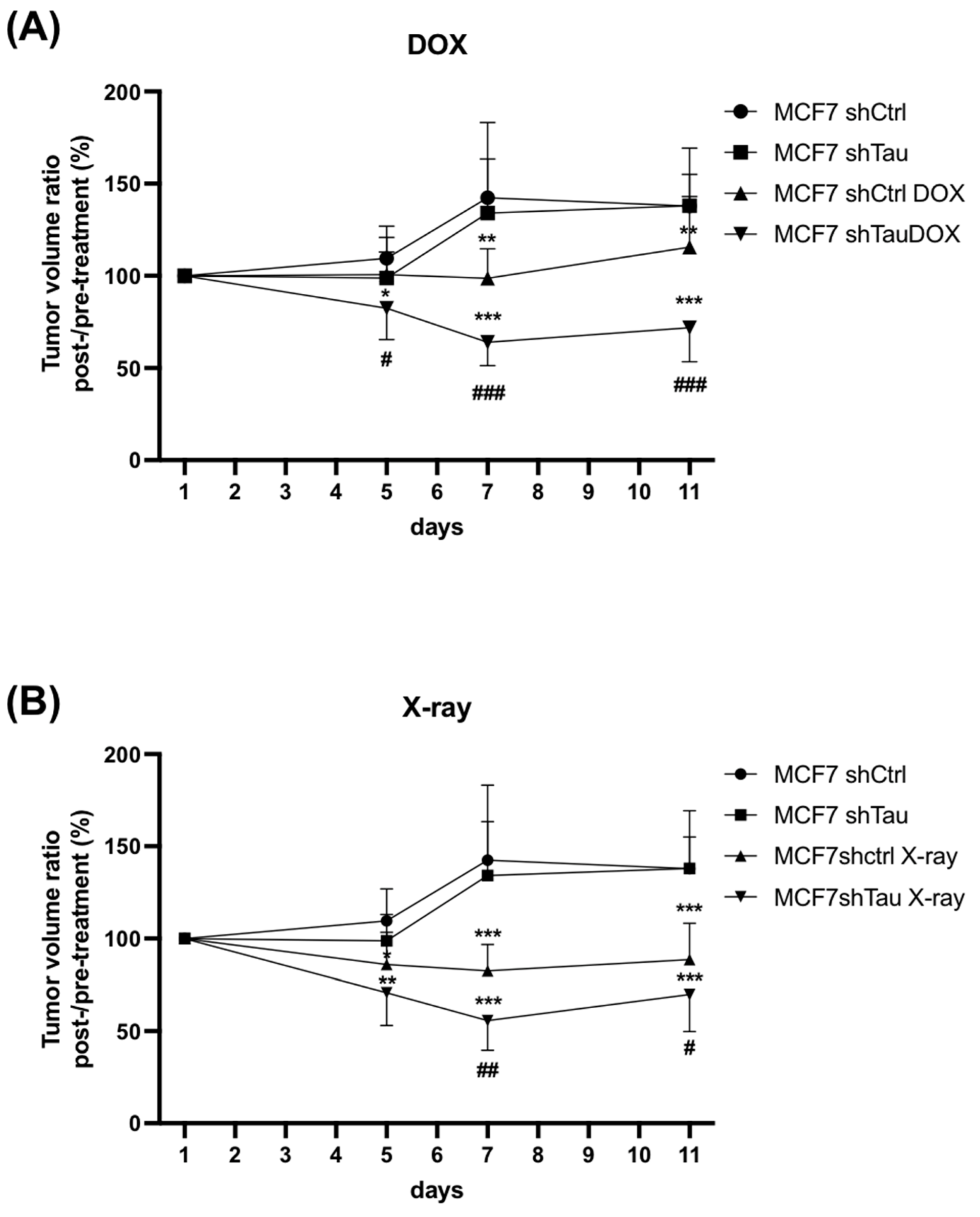 Cancers 15 00116 g005