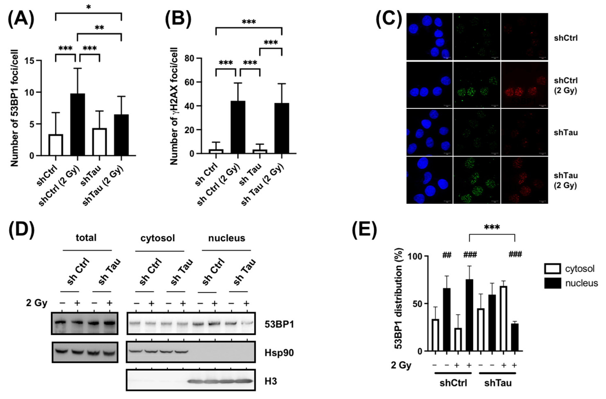 Cancers 15 00116 g006