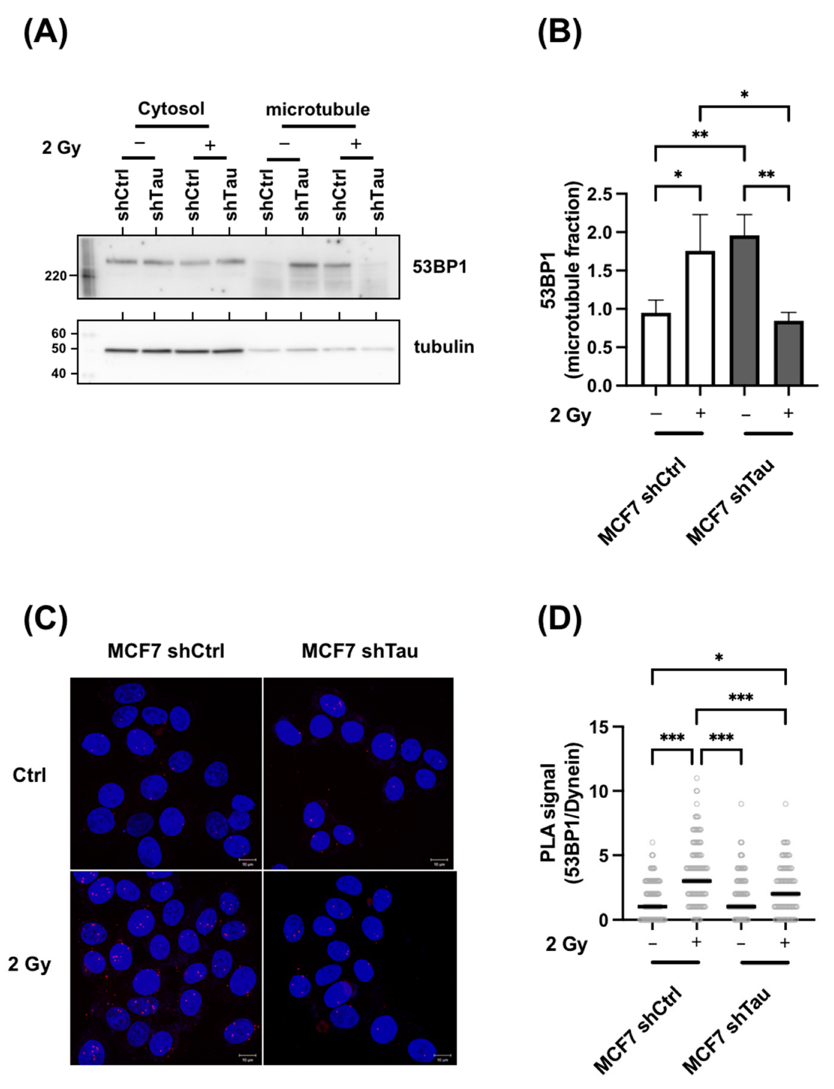 Cancers 15 00116 g007