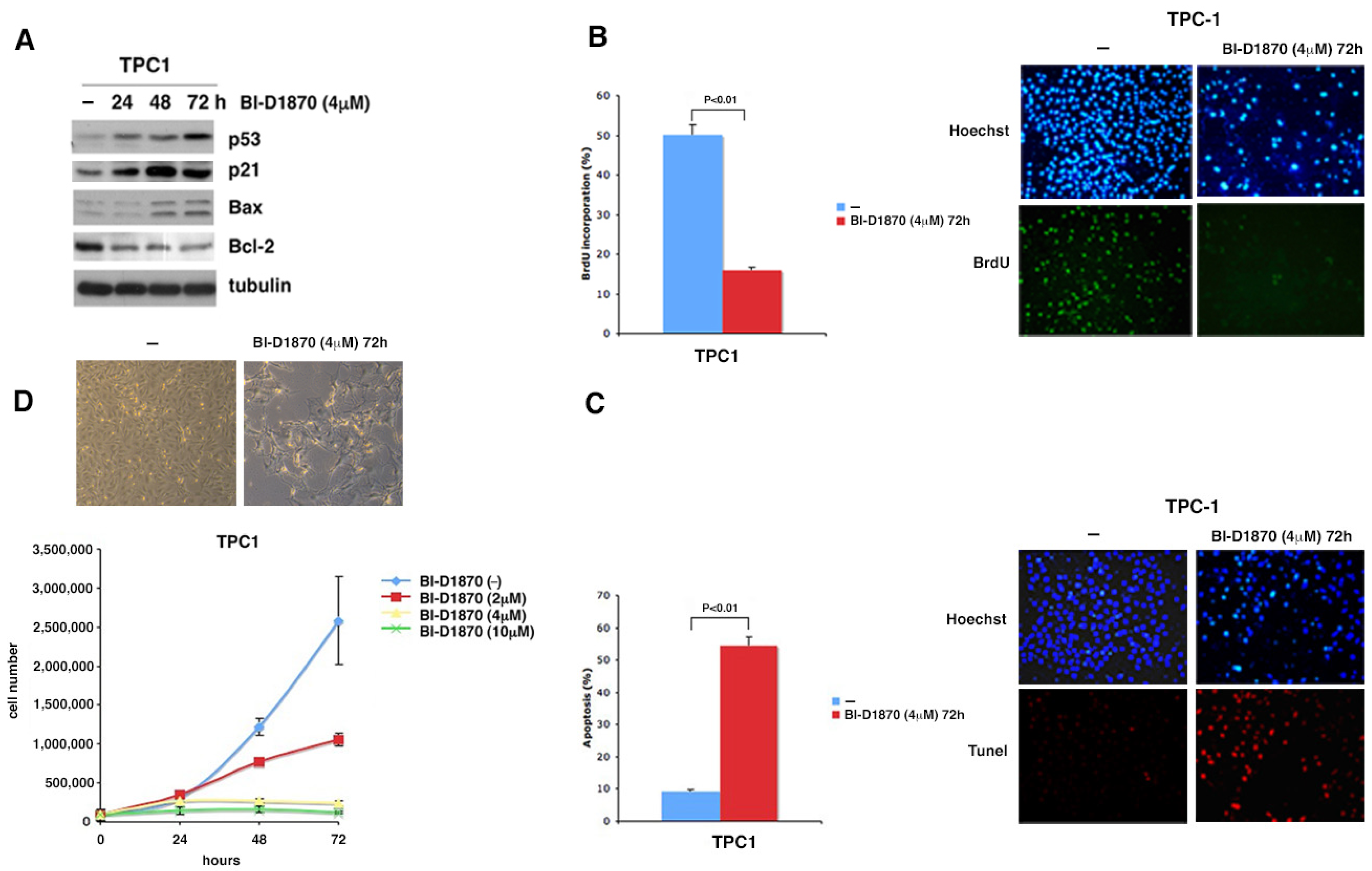 Cancers 15 00121 g005