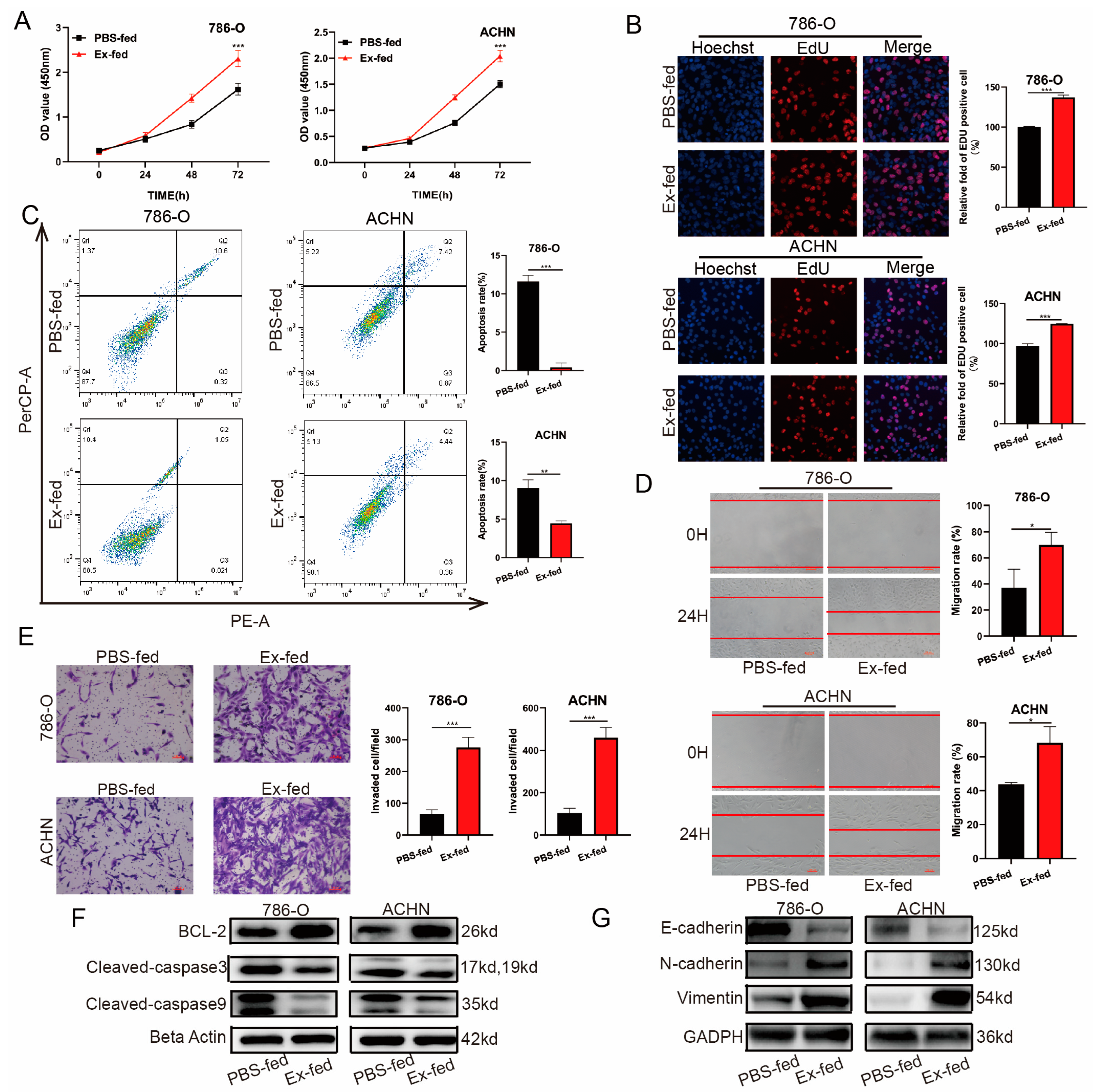 Cancers 15 00123 g003